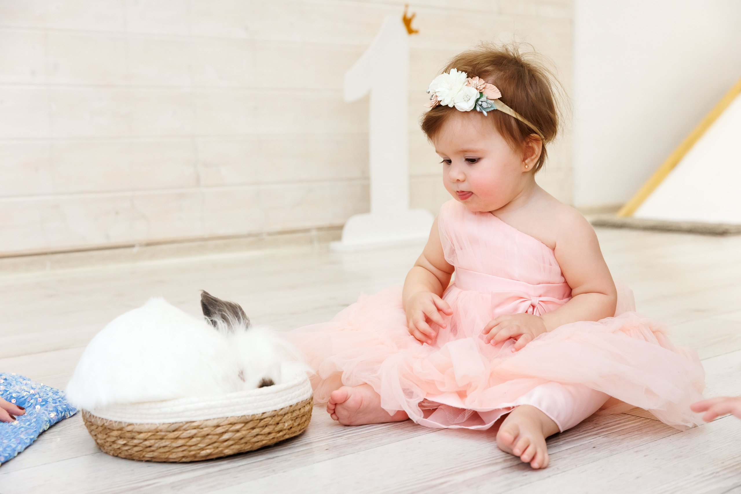 Клуб семейных развлечений Гости. Фотограф Новосибирск — Наталья Гресь