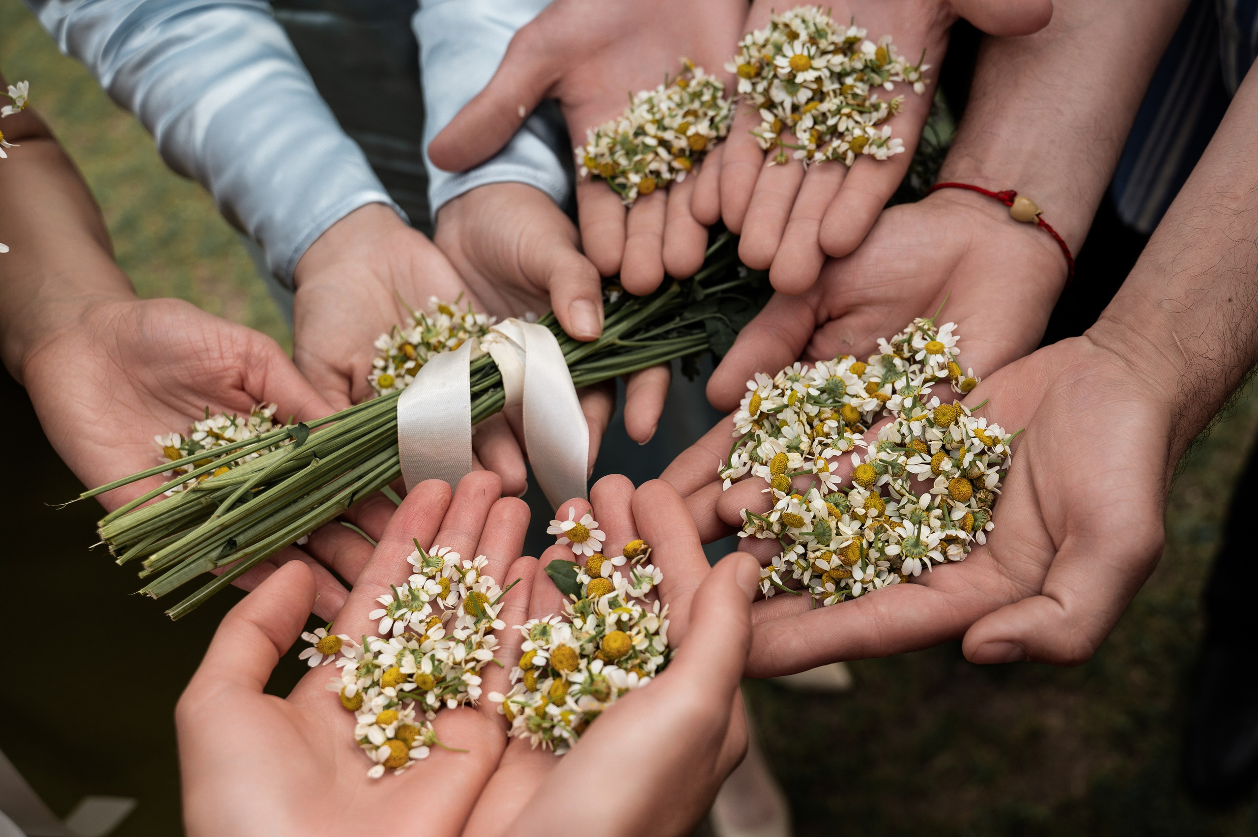 Wedding. Журавлёва Елена