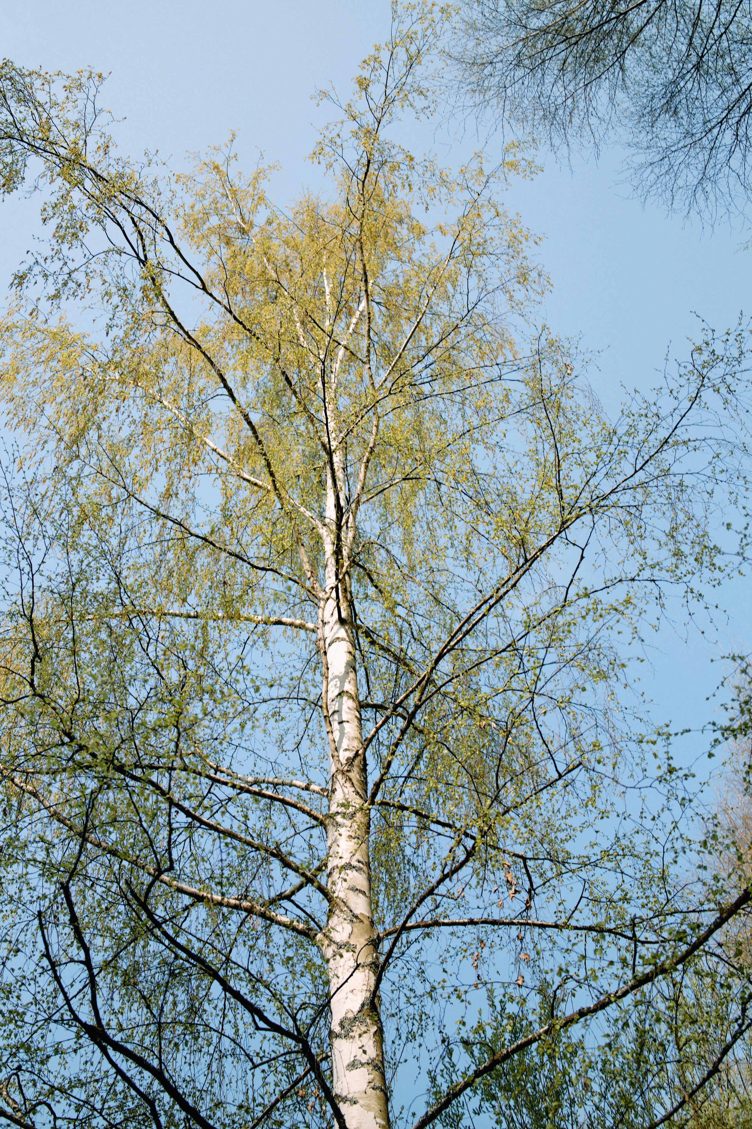 Бутик-отель Поле летом. Профессиональный Фотограф во Владимире, в Москве и в Суздале — Полина Романычева