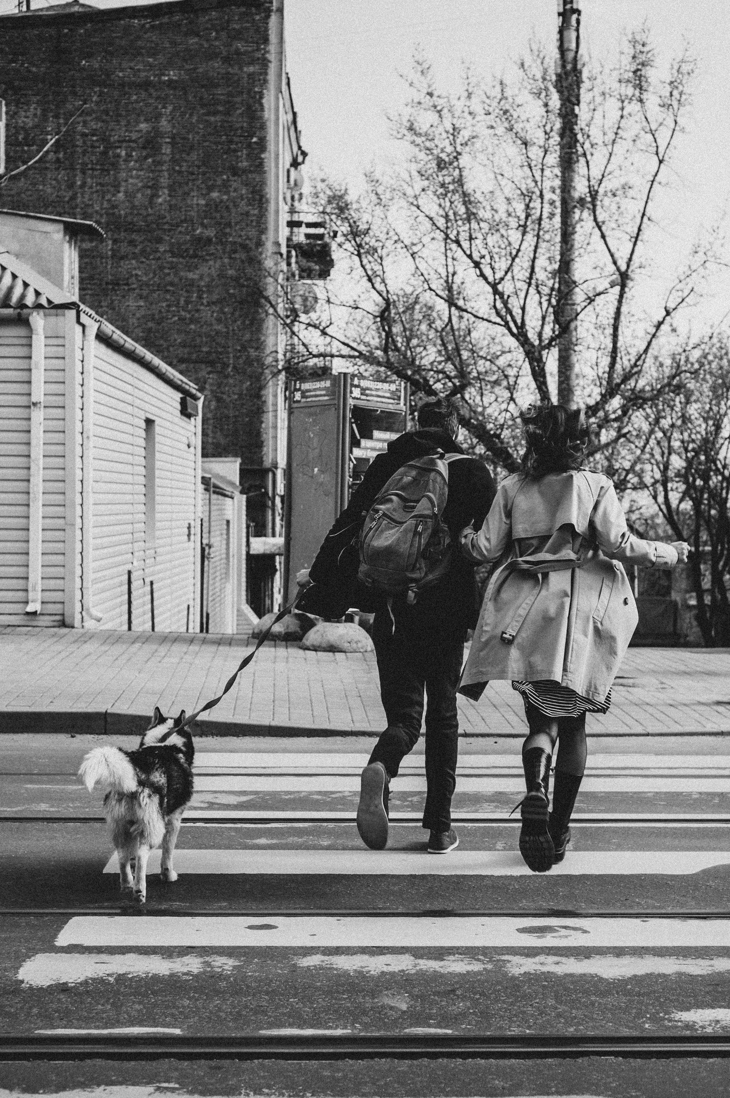 Тим, Марина и Тайга. Свадебный и семейный фотограф в Ростове-на-Дону Алина Астахова