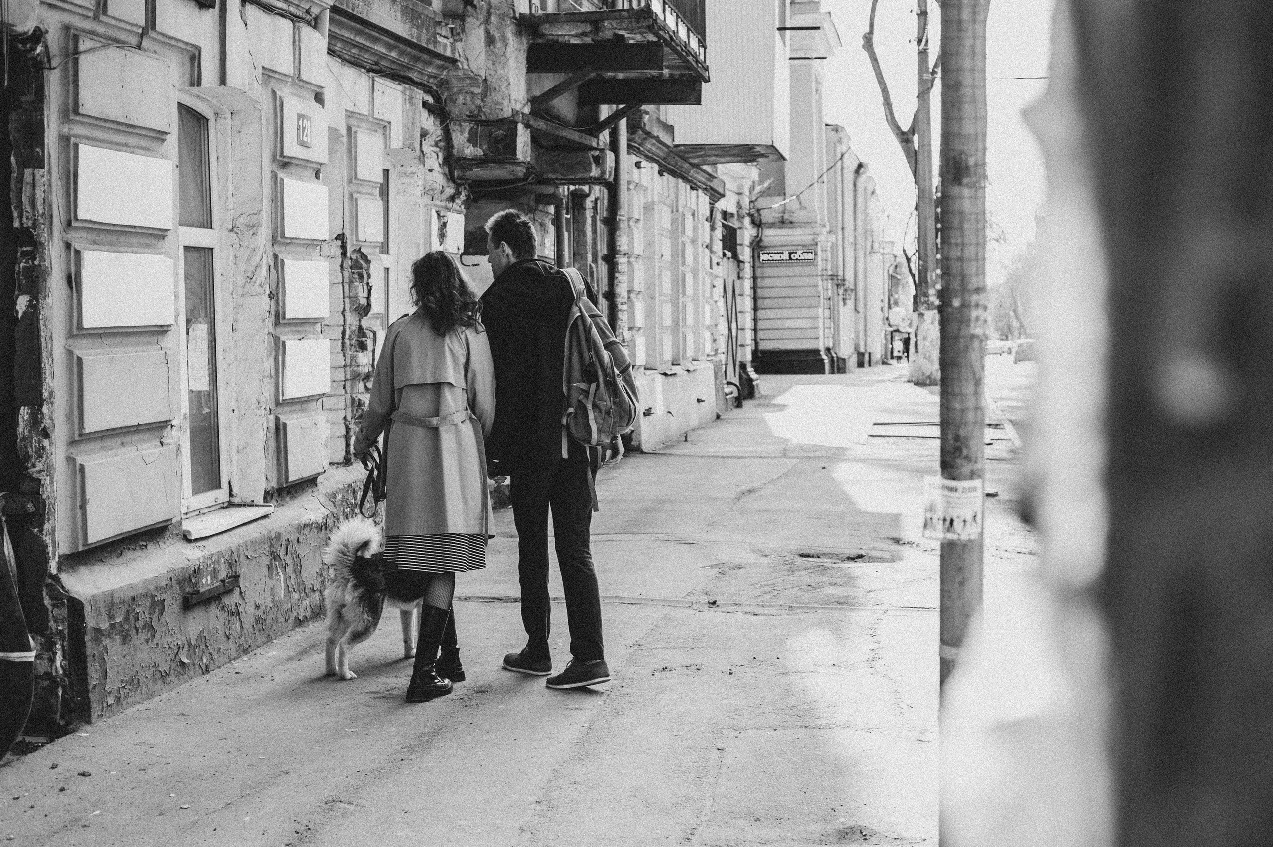 Тим, Марина и Тайга. Свадебный и семейный фотограф в Ростове-на-Дону Алина Астахова