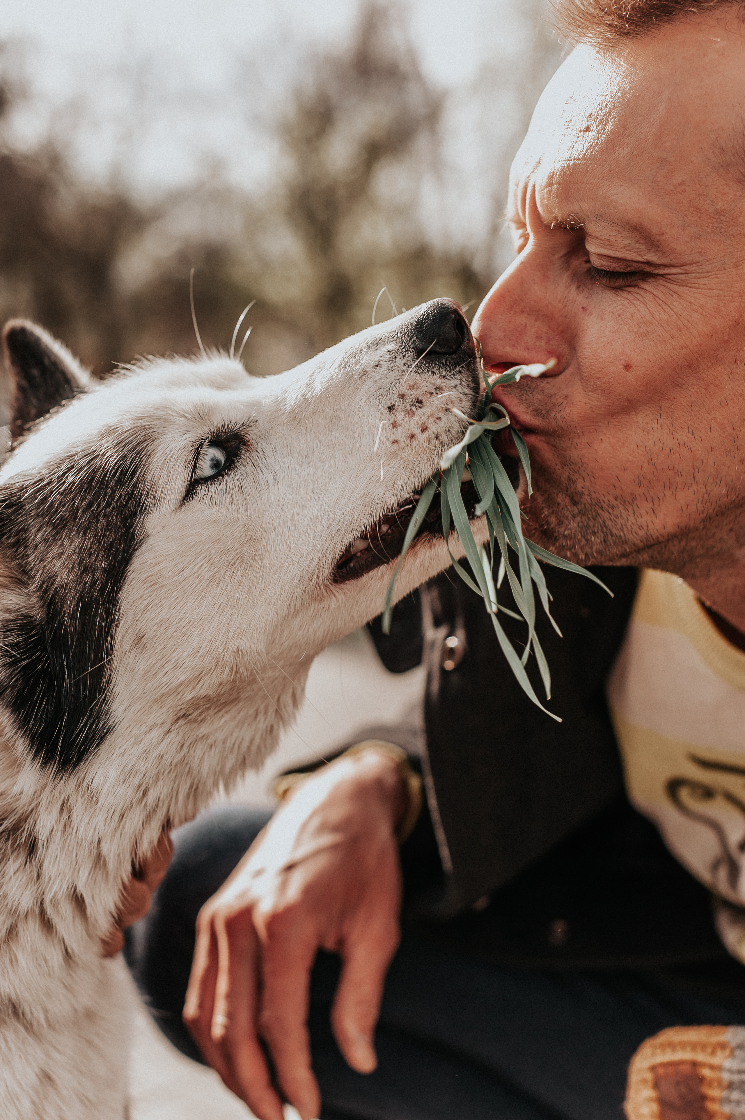 Тим, Марина и Тайга. Свадебный и семейный фотограф в Ростове-на-Дону Алина Астахова