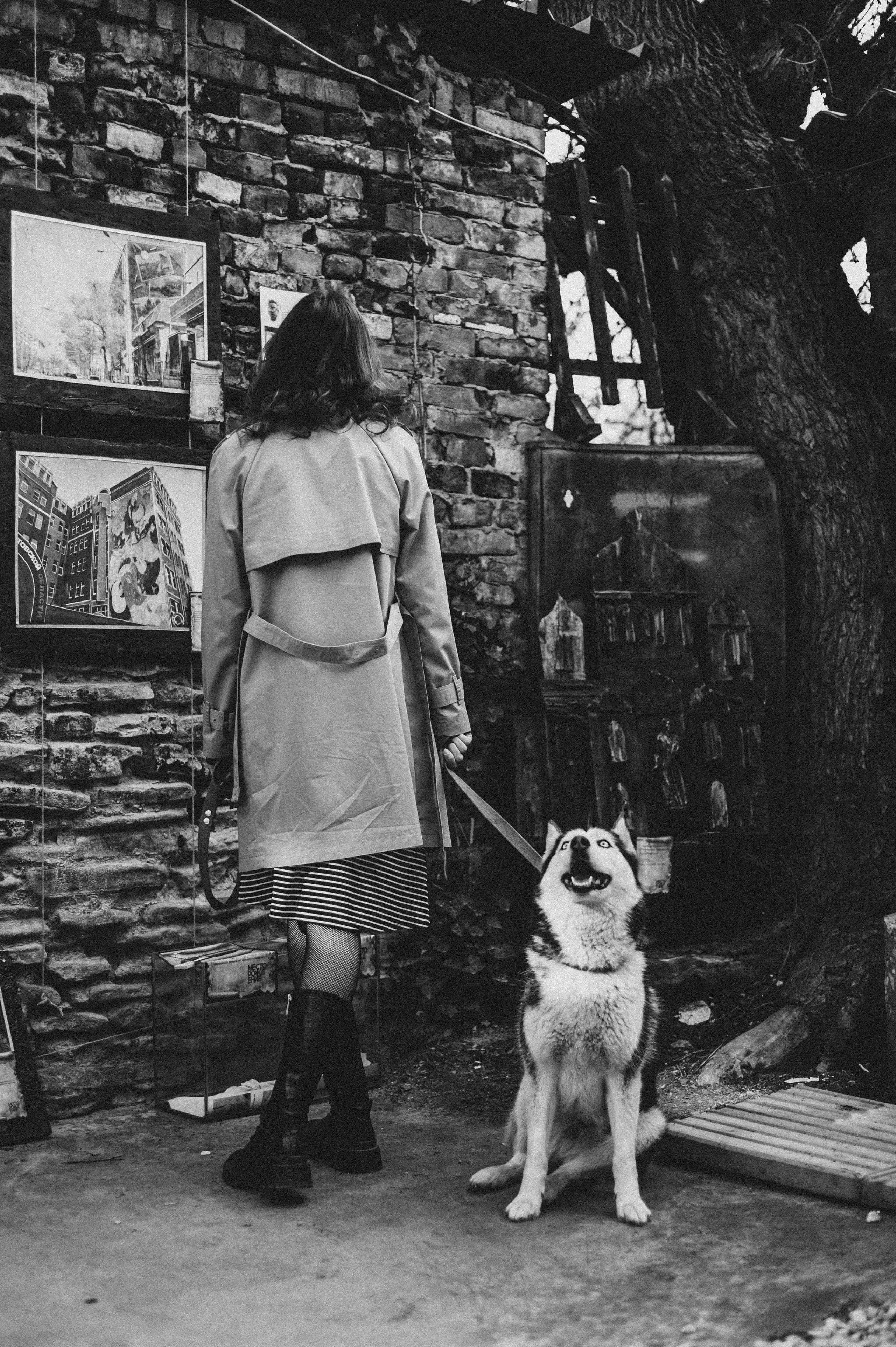 Тим, Марина и Тайга. Свадебный и семейный фотограф в Ростове-на-Дону Алина Астахова