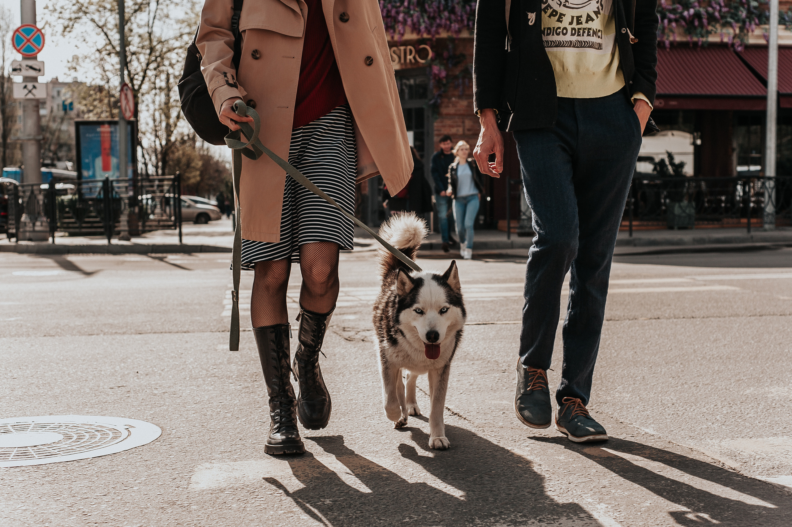 Тим, Марина и Тайга. Свадебный и семейный фотограф в Ростове-на-Дону Алина Астахова