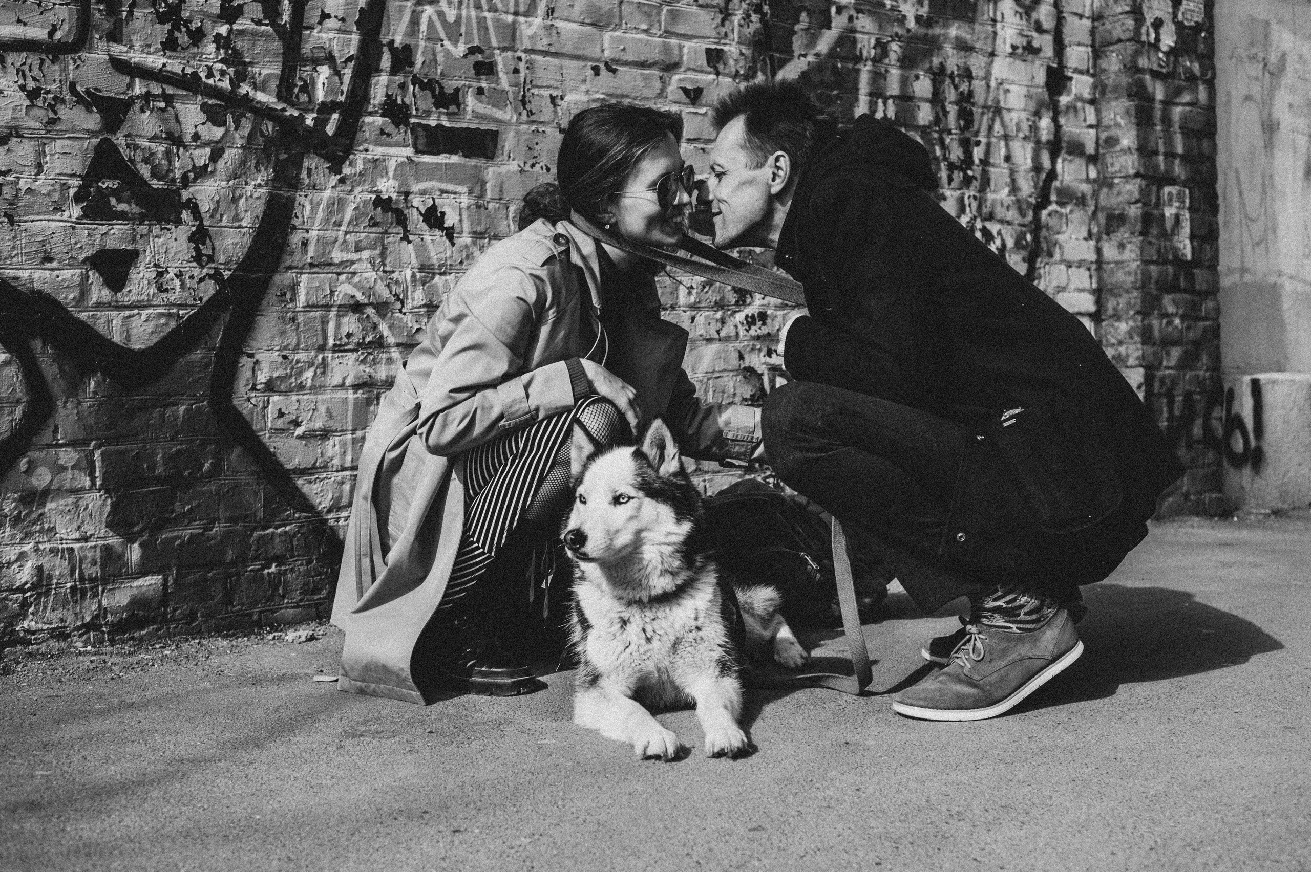 Тим, Марина и Тайга. Свадебный и семейный фотограф в Ростове-на-Дону Алина Астахова