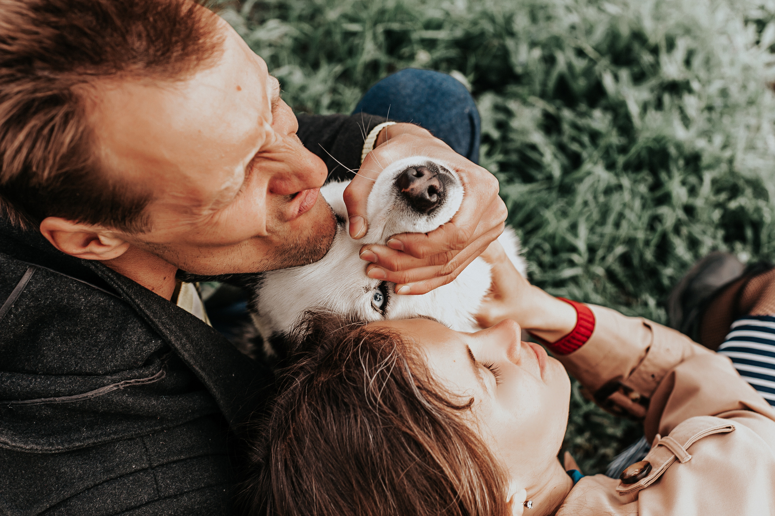 Тим, Марина и Тайга. Свадебный и семейный фотограф в Ростове-на-Дону Алина Астахова