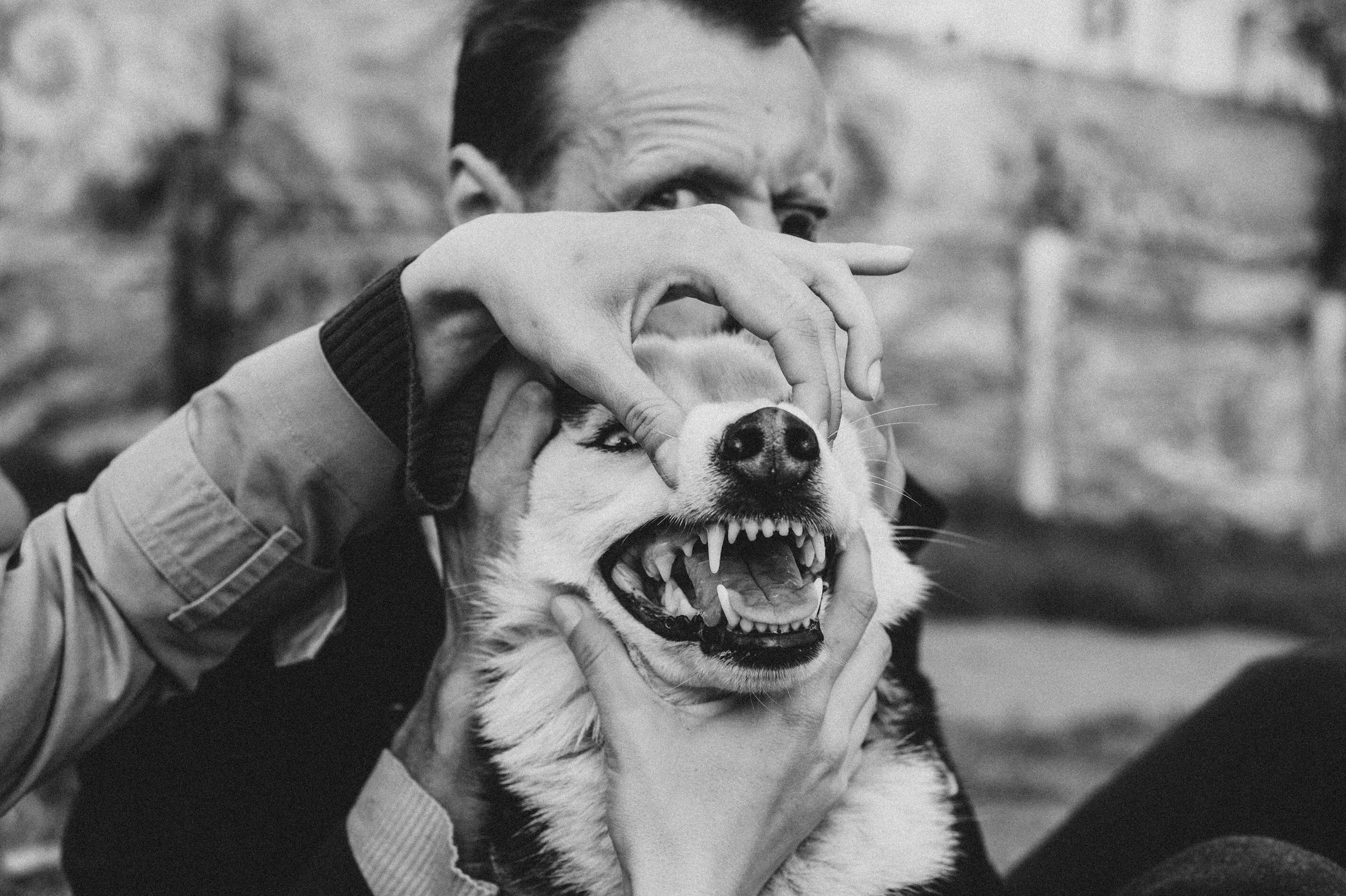 Тим, Марина и Тайга. Свадебный и семейный фотограф в Ростове-на-Дону Алина Астахова