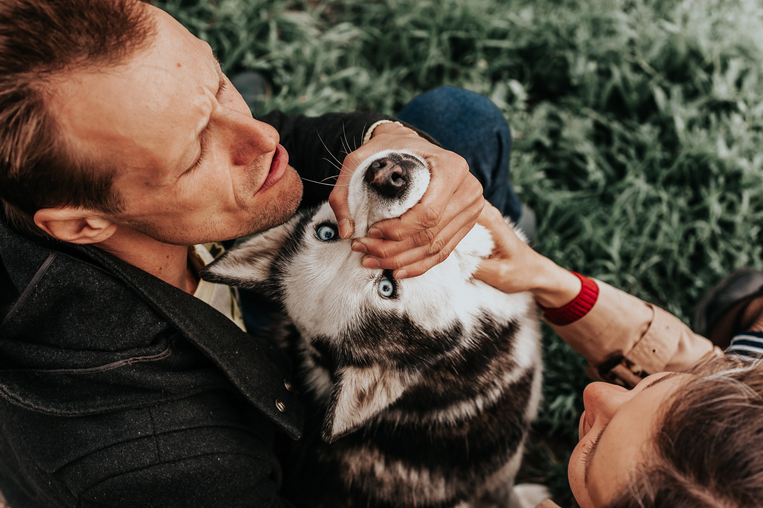 Тим, Марина и Тайга. Свадебный и семейный фотограф в Ростове-на-Дону Алина Астахова
