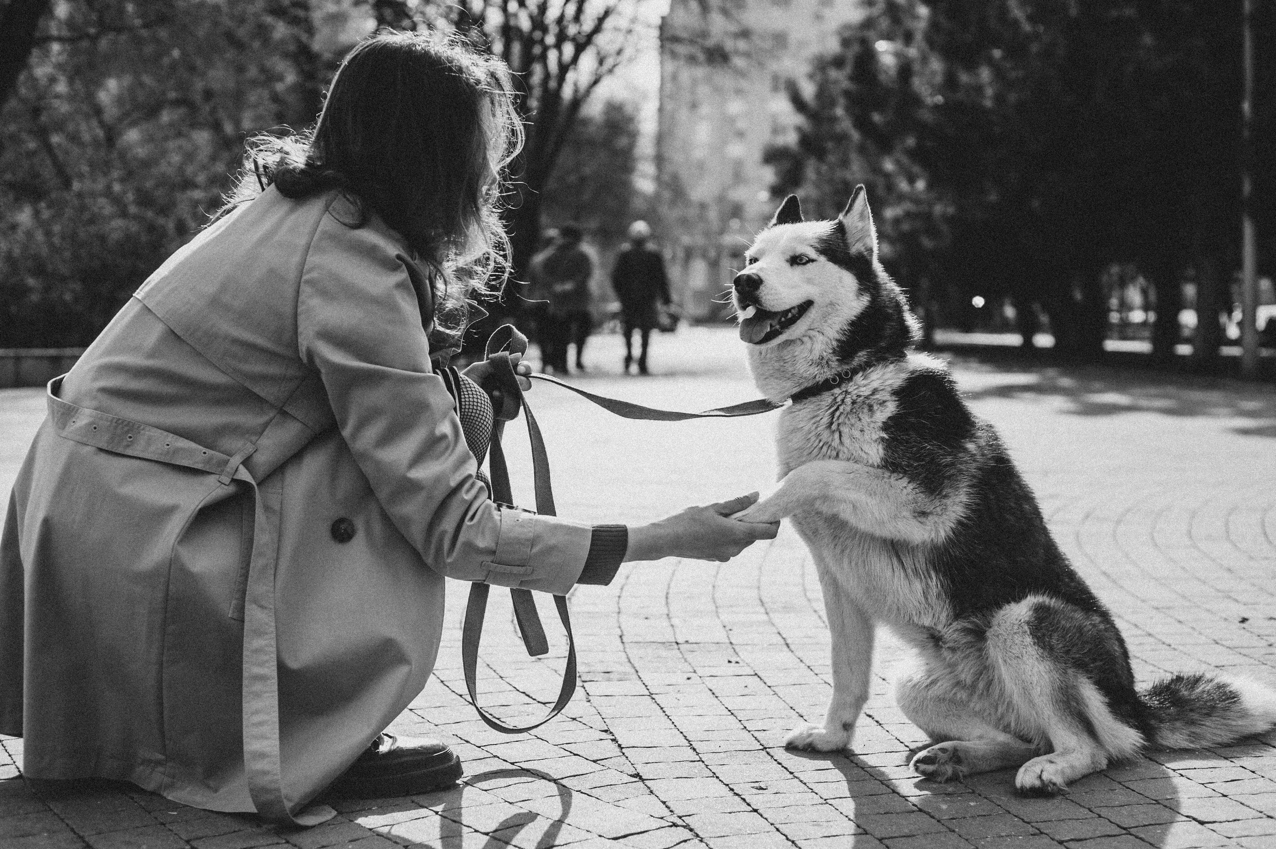 Тим, Марина и Тайга. Свадебный и семейный фотограф в Ростове-на-Дону Алина Астахова