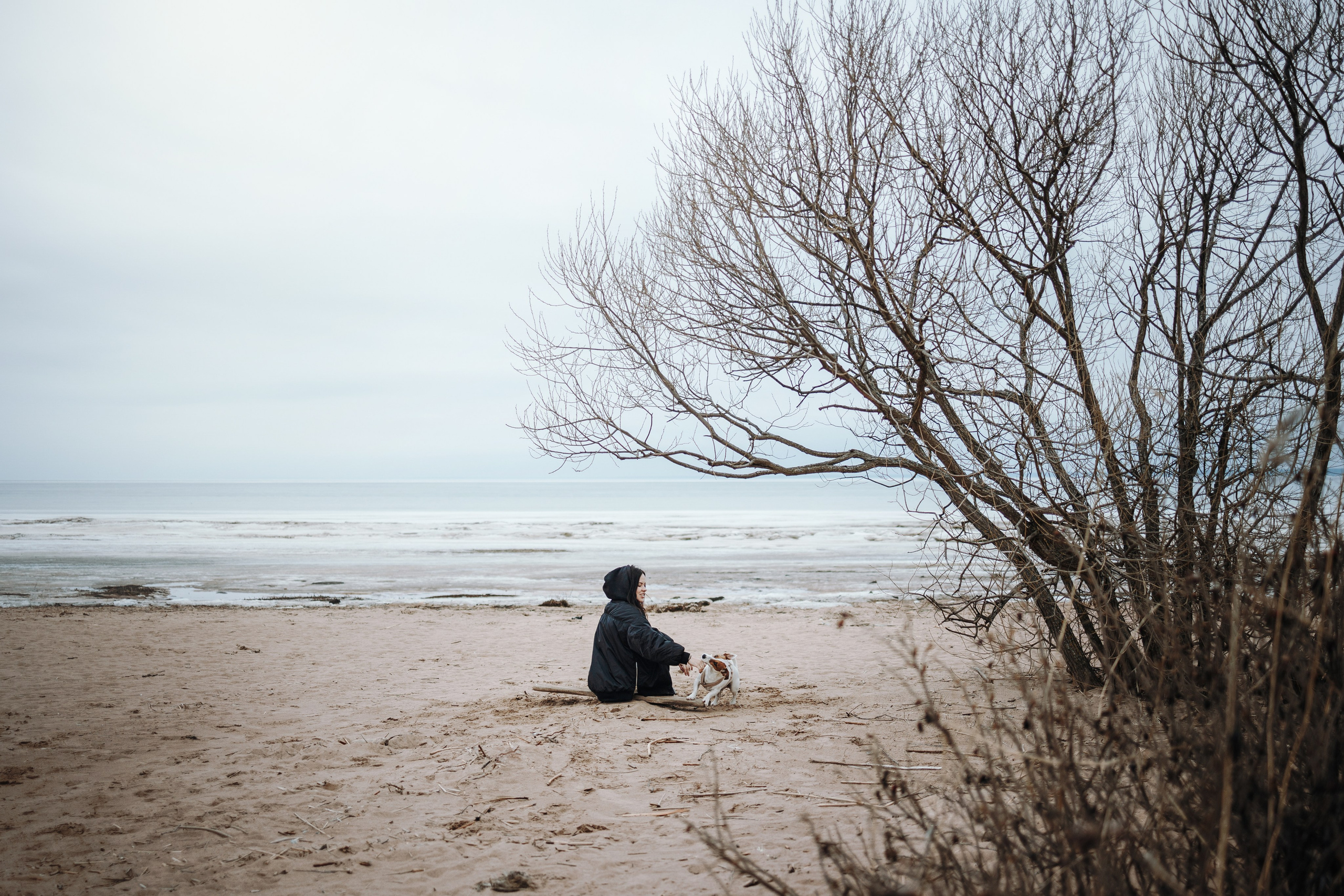 Саша и Джеки. Фотограф — Анималист | Санкт-Петербург