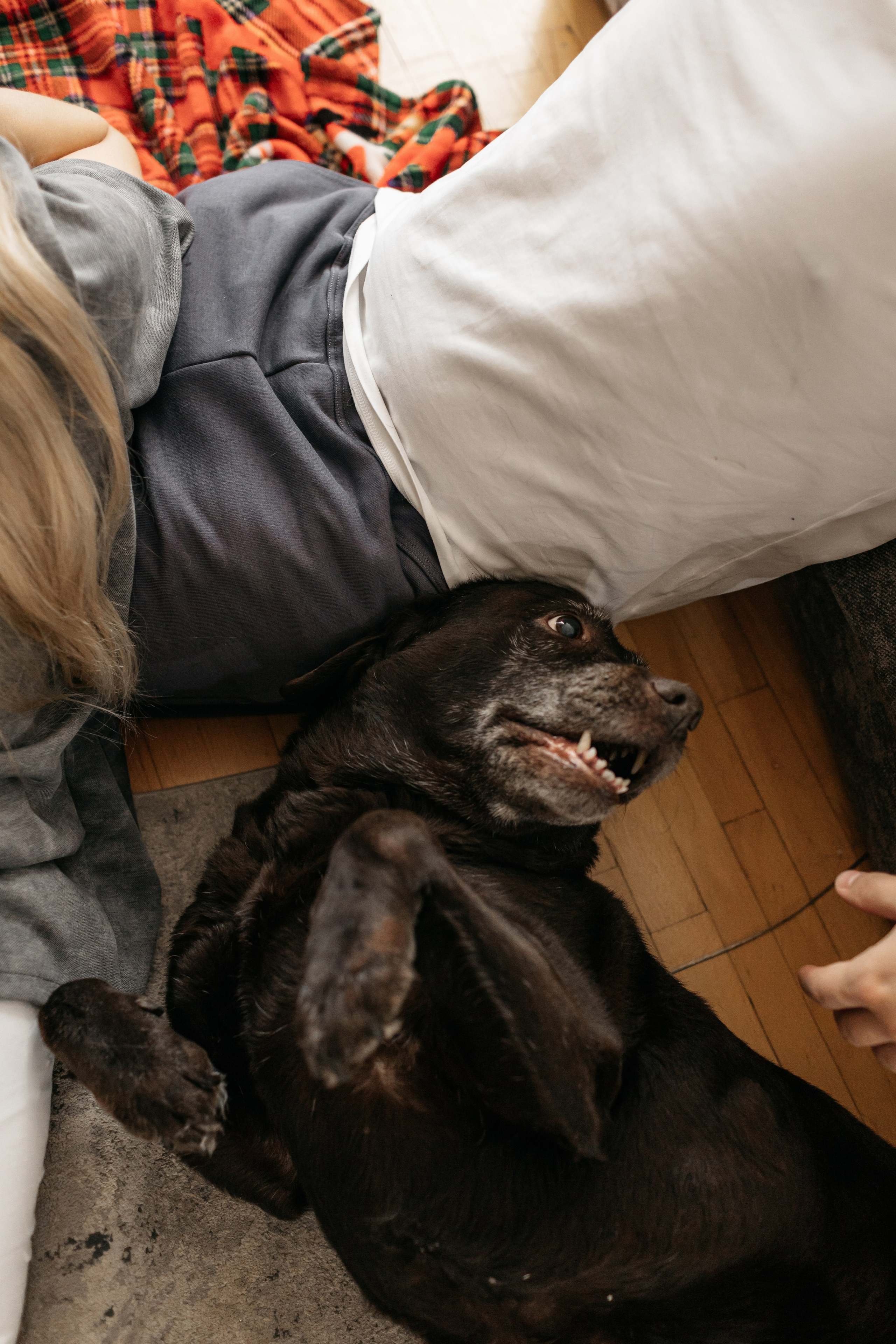 Новый Год. Свадебный и семейный фотограф в Самаре Посконнова Анна