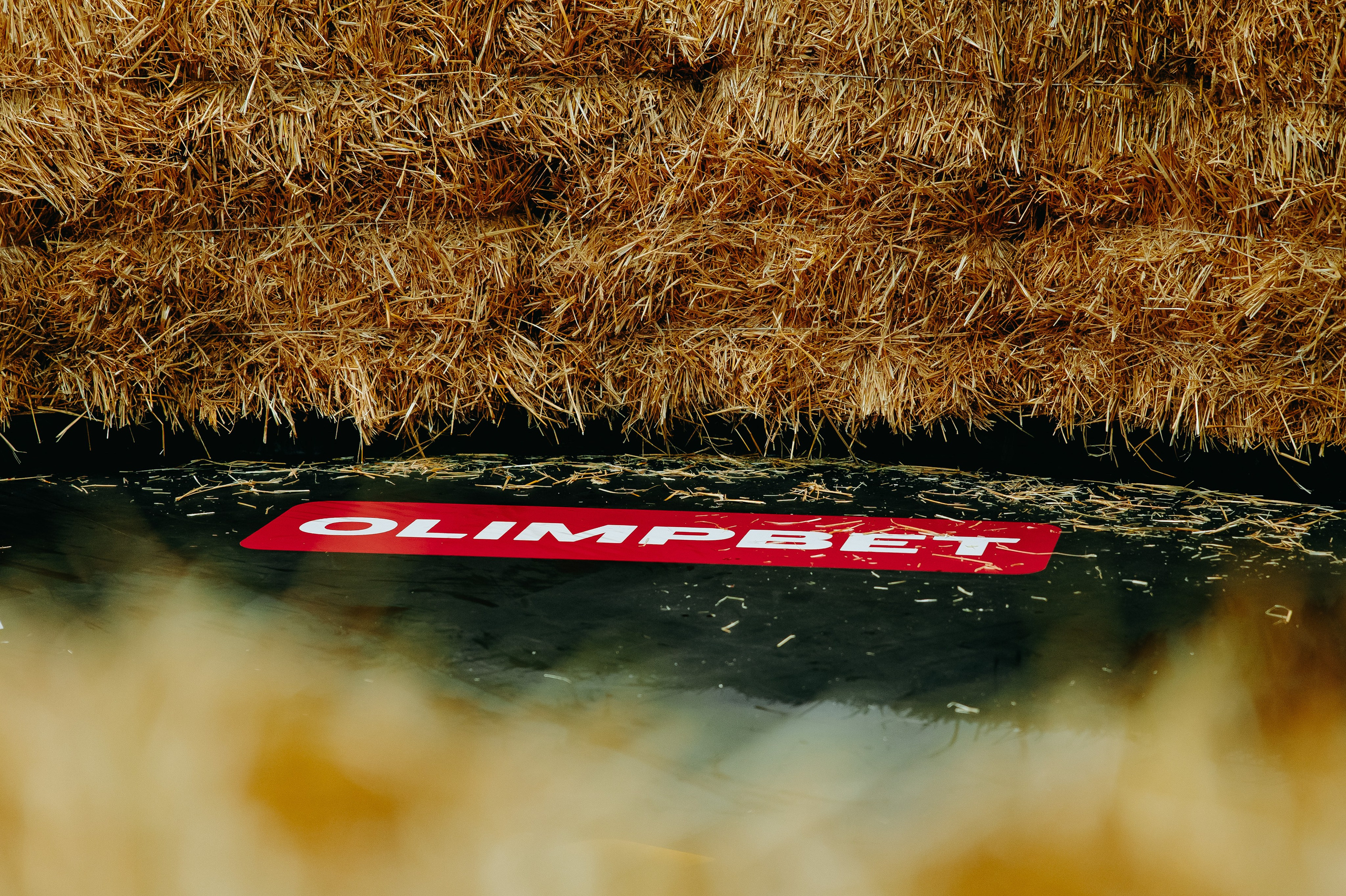 TOPDOG — 32. Фотограф в Саратове Александр Кухаренко. И не только в Саратове :)