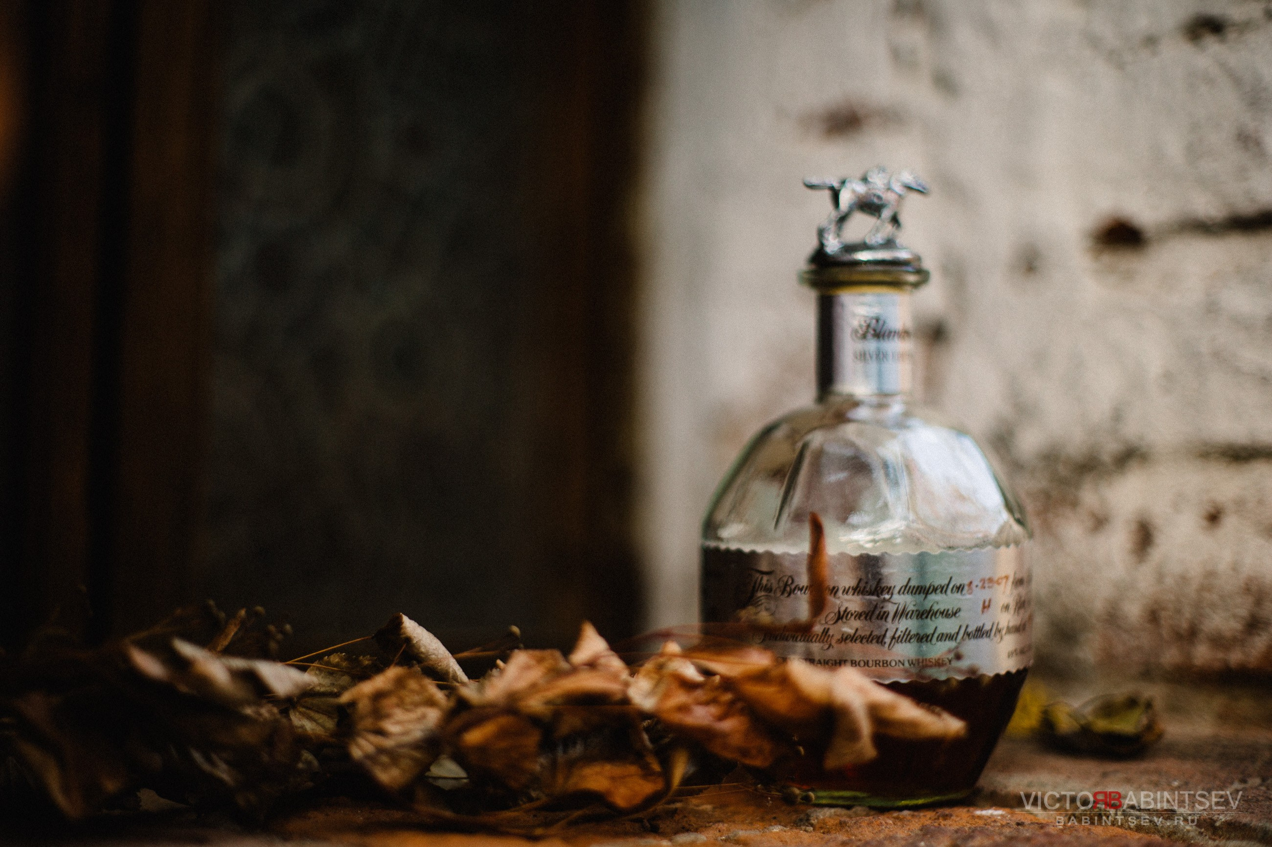 Whisky. Семейный и репортажной фотограф в Красноярске и Москве Виктор Бабинцев