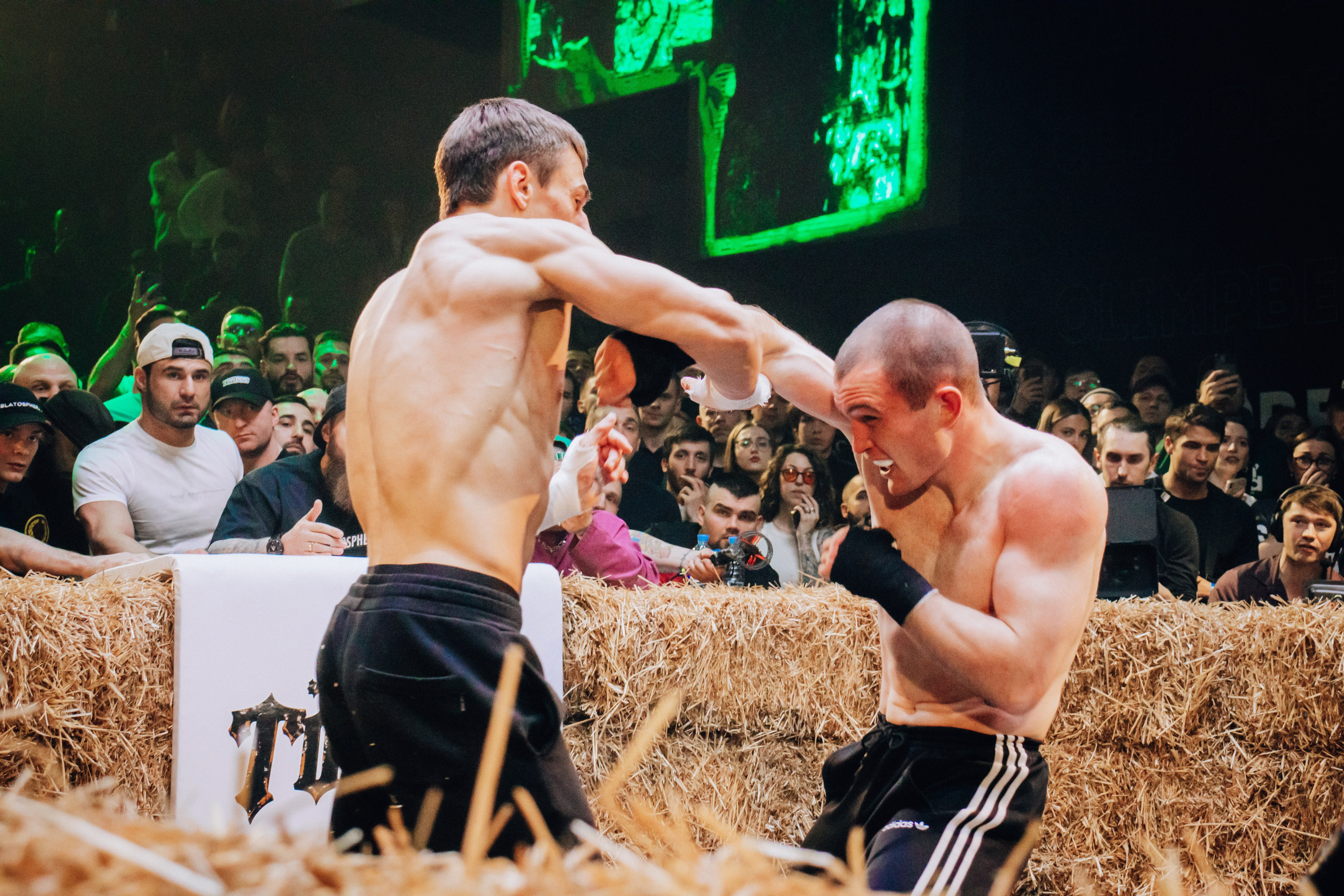 Кулачные бои TopDog. Анастасия Тен