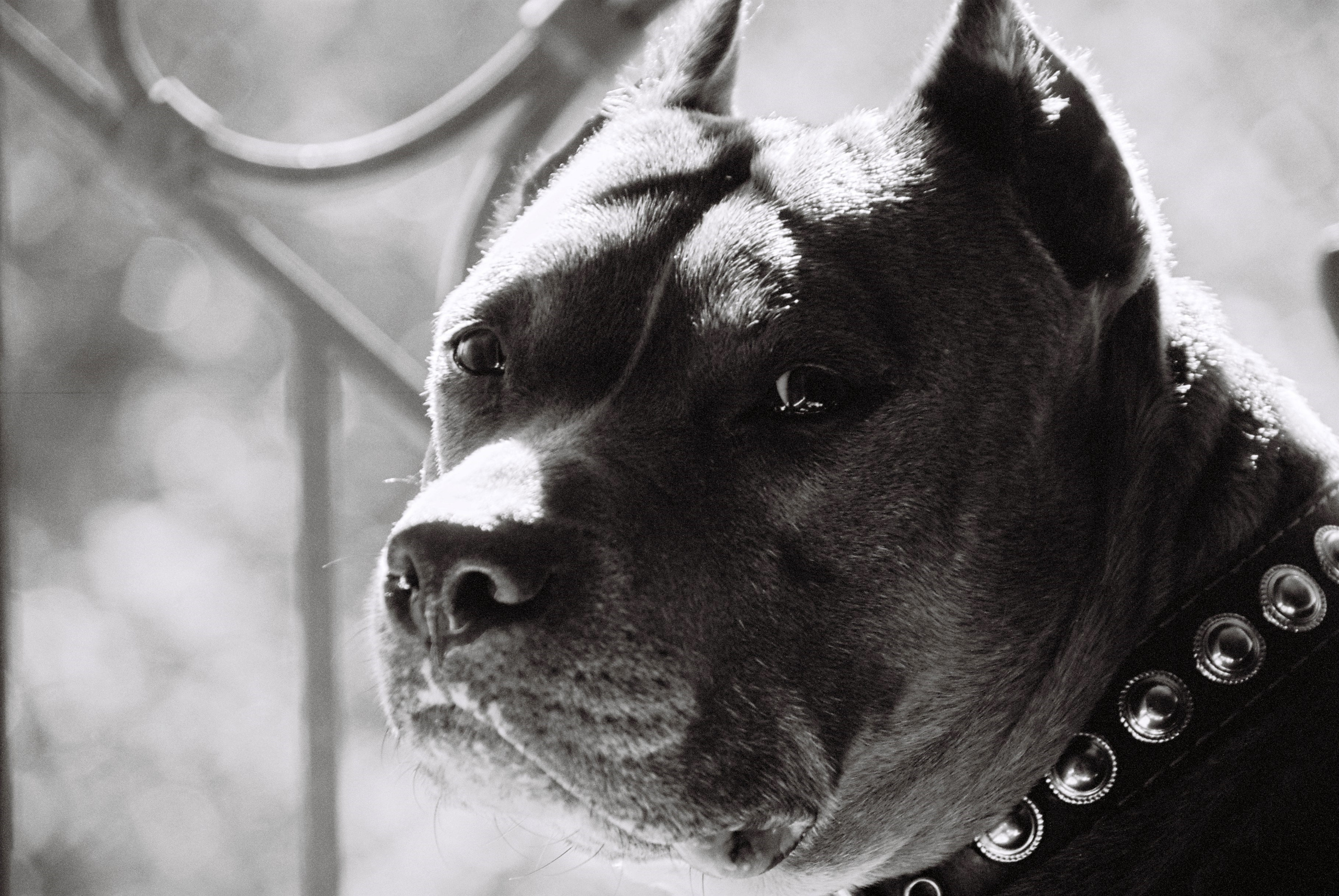 Film. Ruslan UI Dev Page