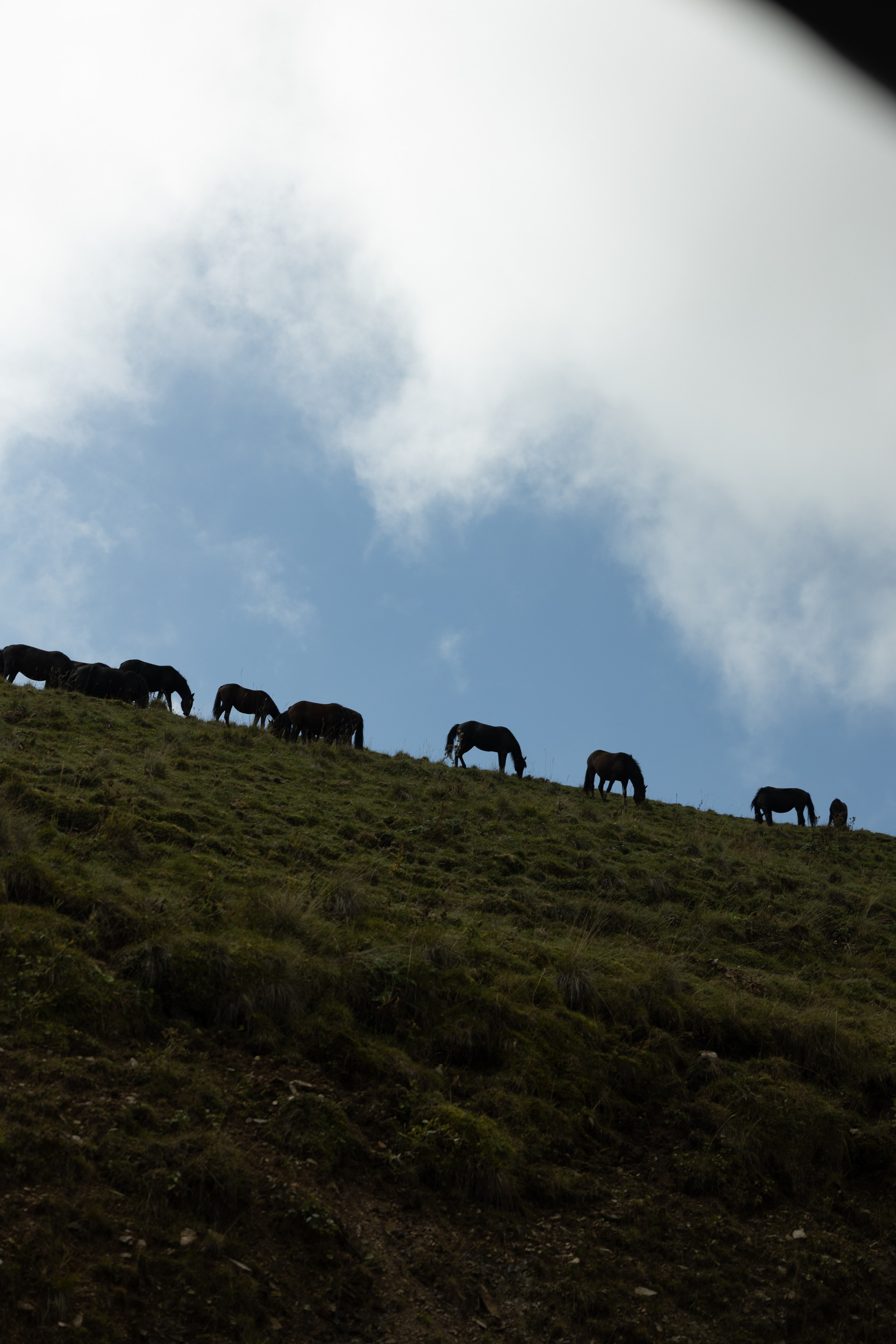 Profiles #4. ANNA KORZOVA