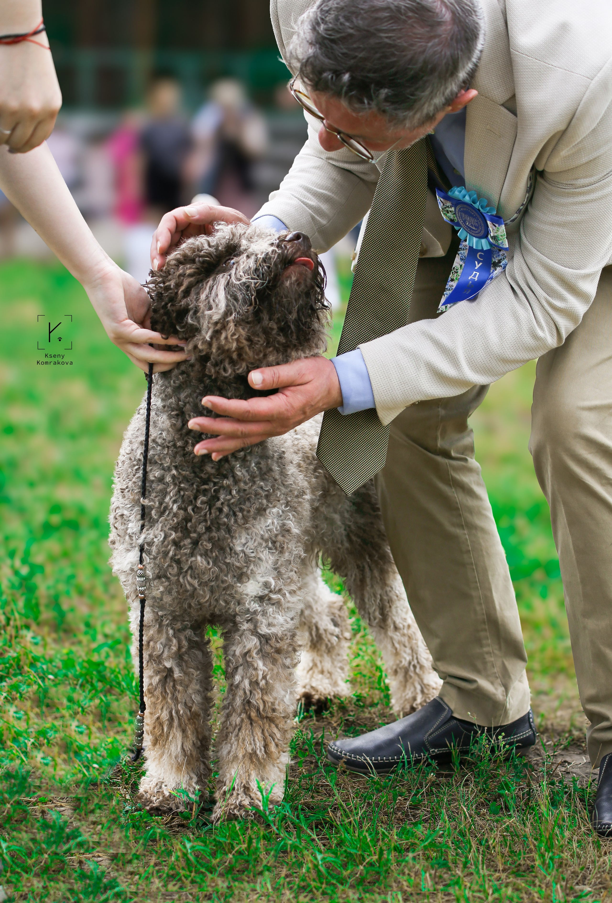 Съемка собак. Анималистика. Репортаж. Индивидуальная съемка