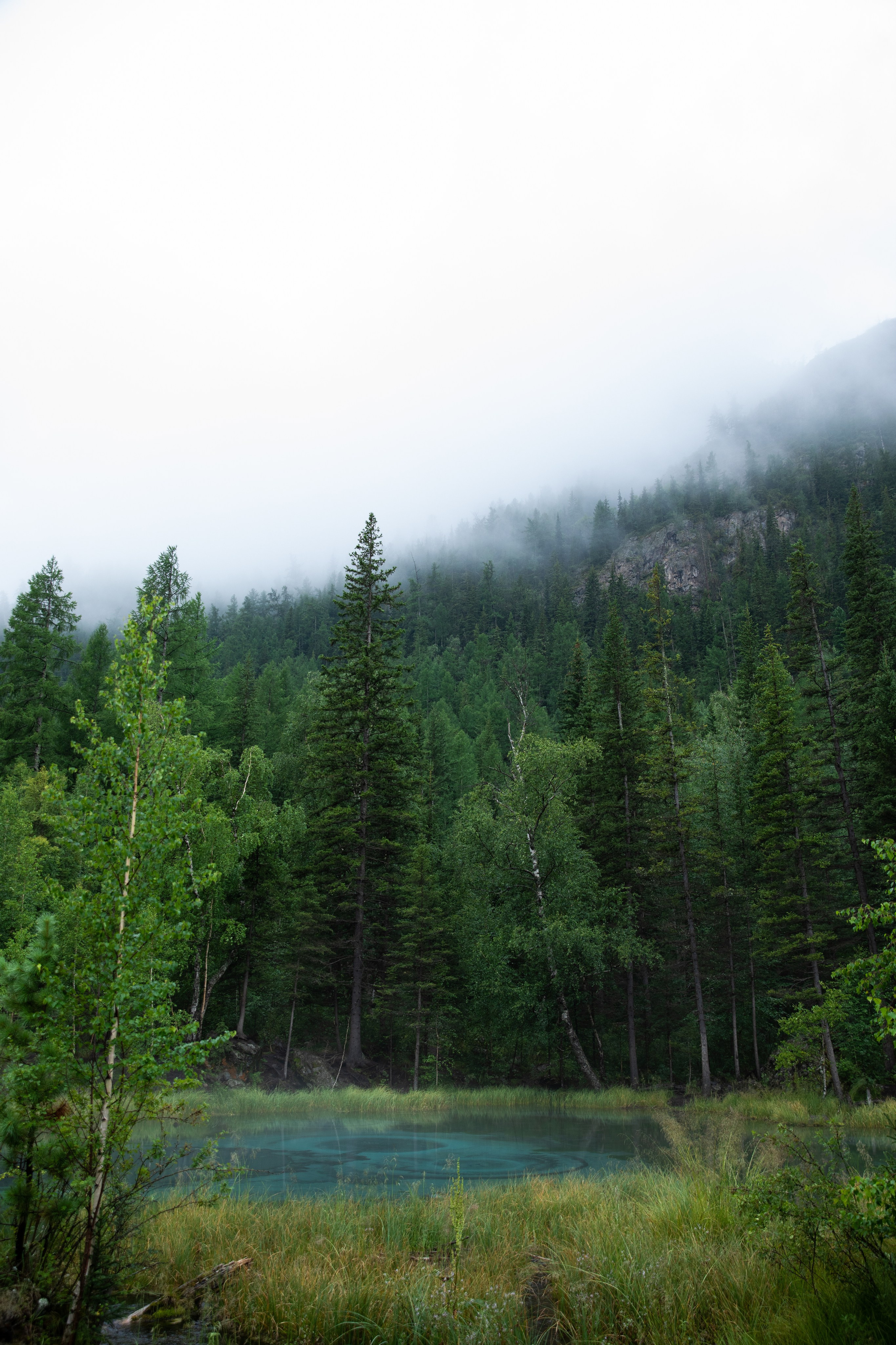 Altai. Yulia Tsyganova