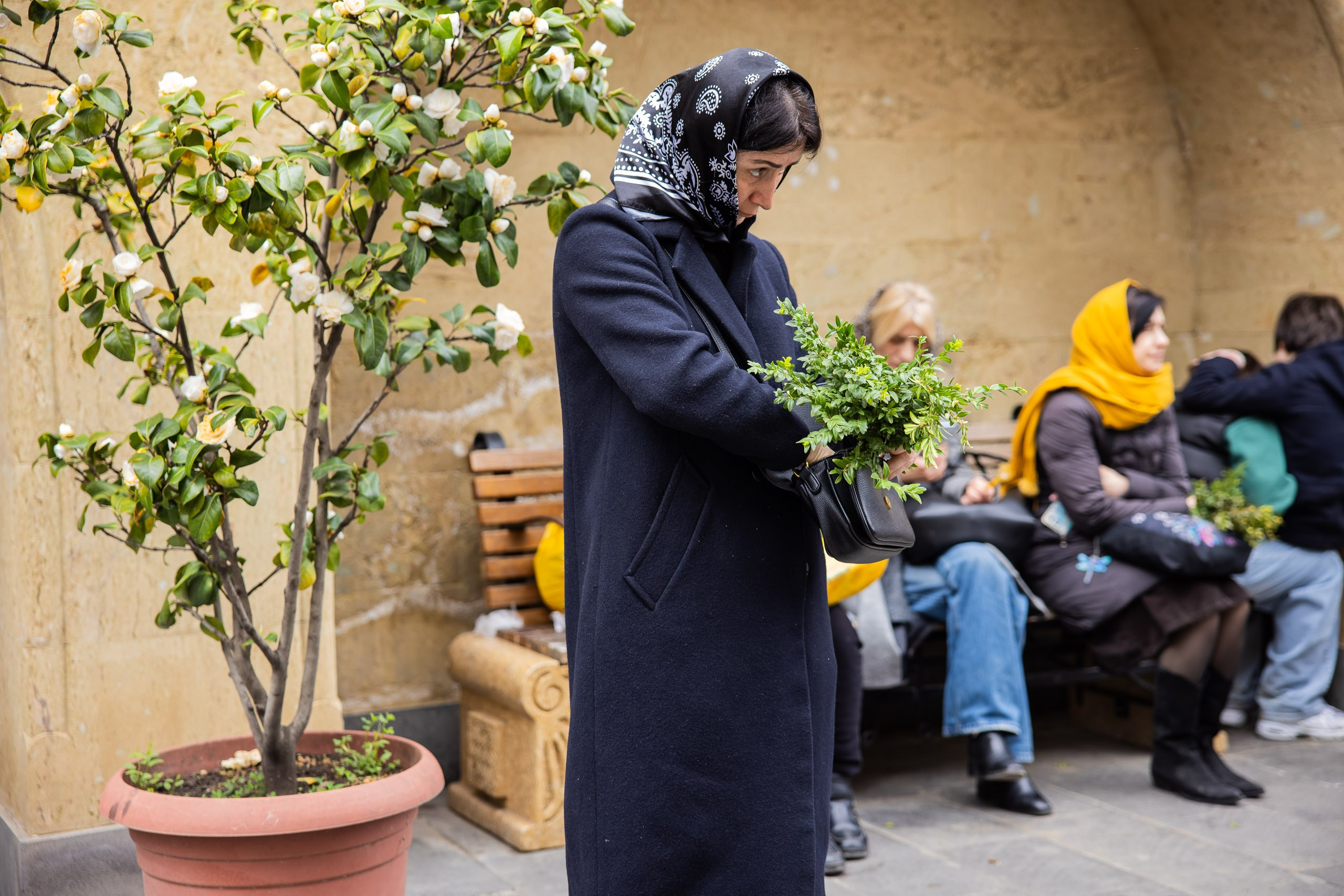 Вербное (Самшитовое) воскресенье в Грузии. Промышленный фотограф, фоторепортаж, Россия