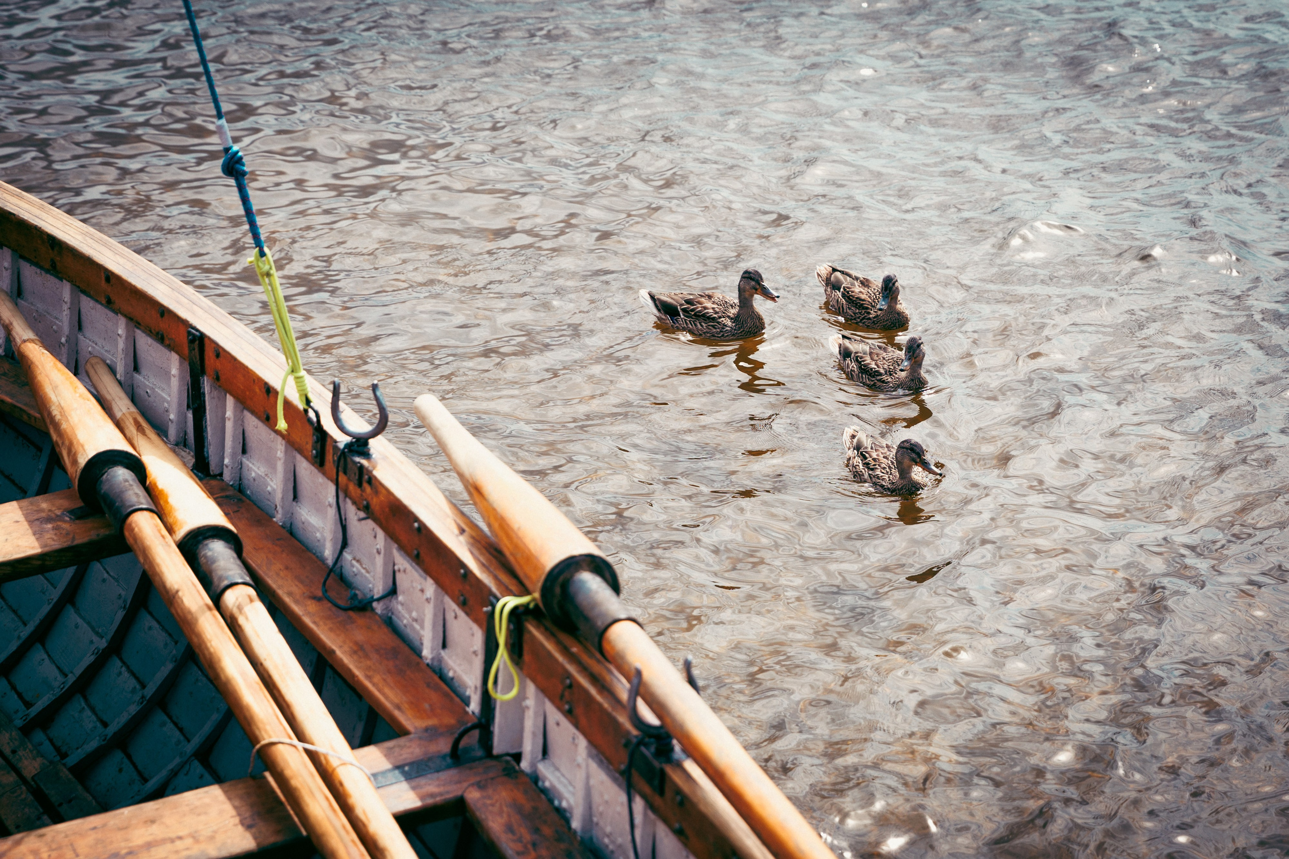 Корпоратив Фордевинд. Репортажный Фотограф Александр Назаров. Москва и М.О