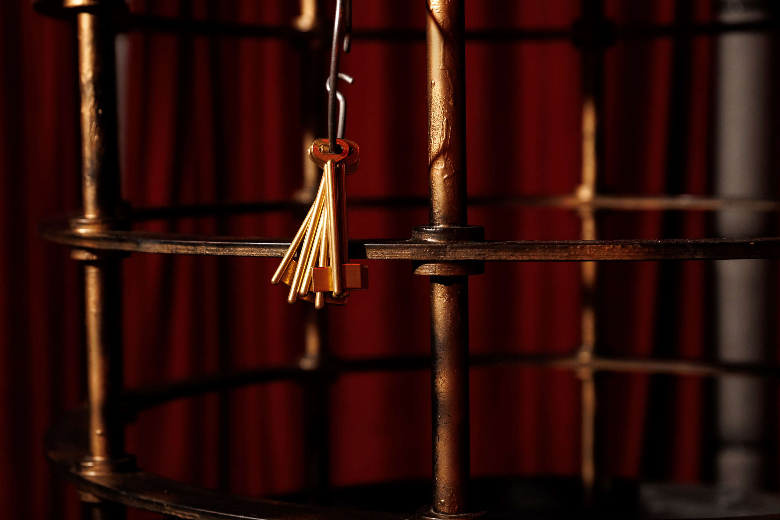 День Рождения Карины. Форд боярд