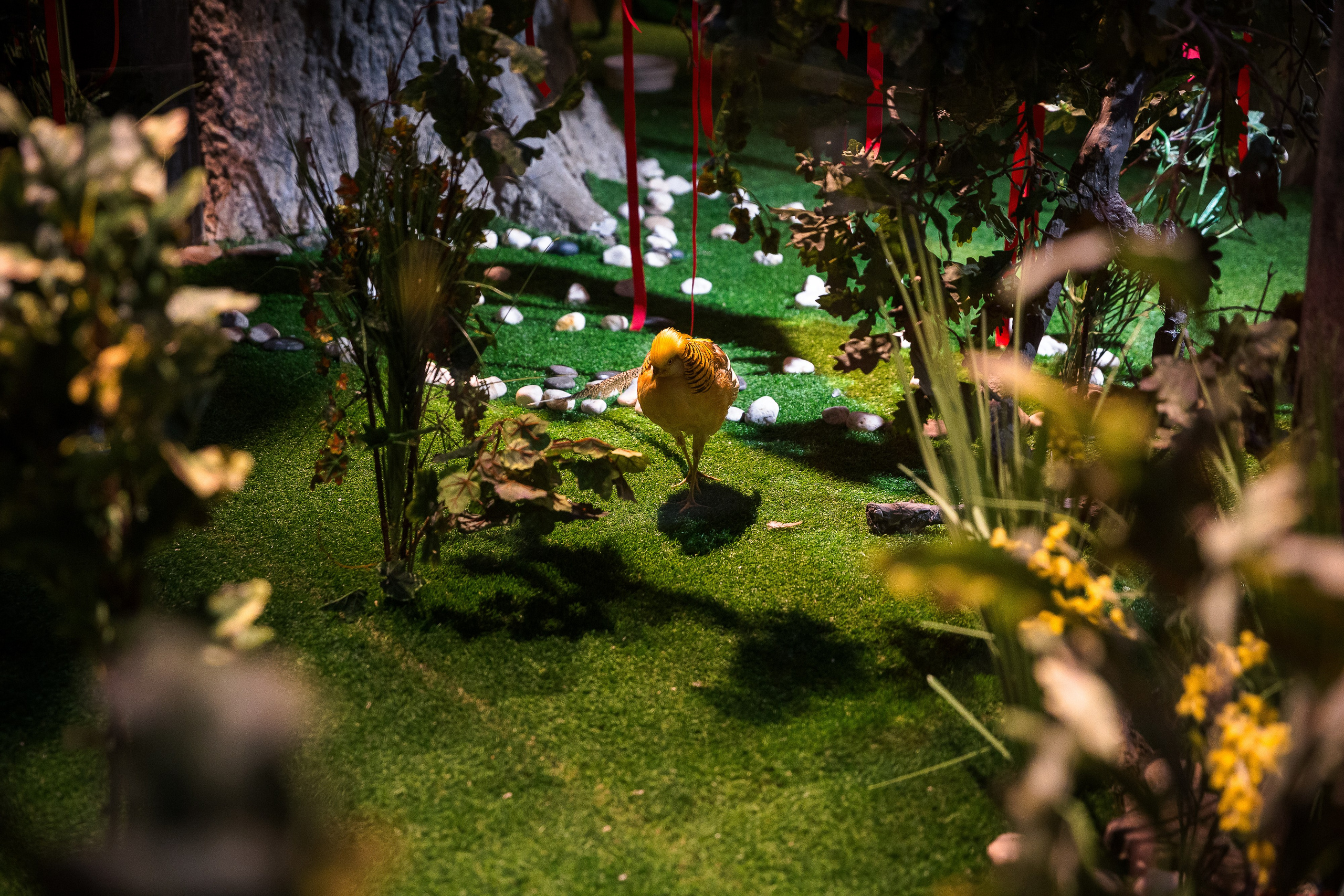 14 февраля в ресторане «Шинок». Репортажный Фотограф Александр Назаров. Москва и М.О