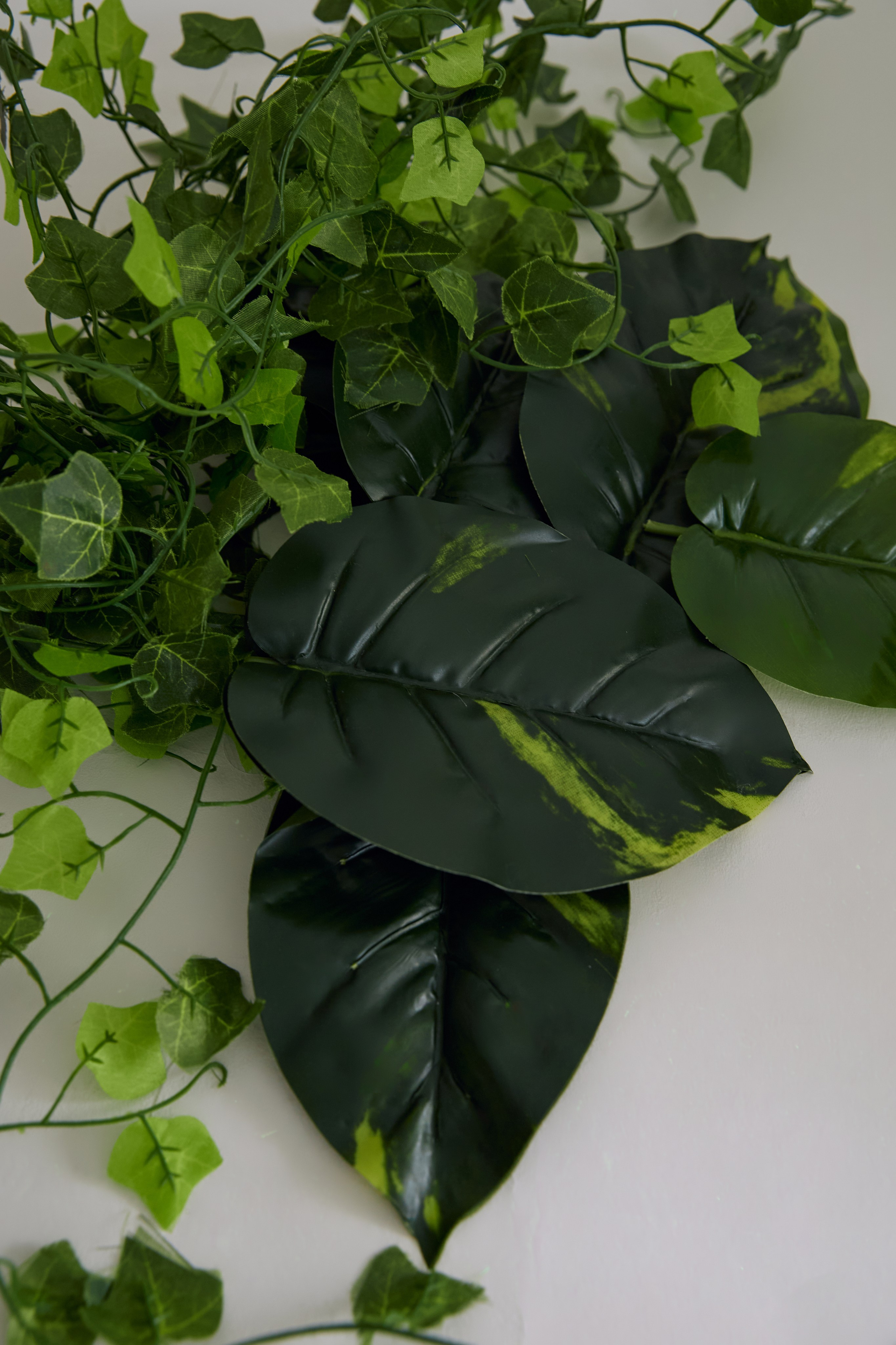 Реквизит общий. Content Studio фотостудия