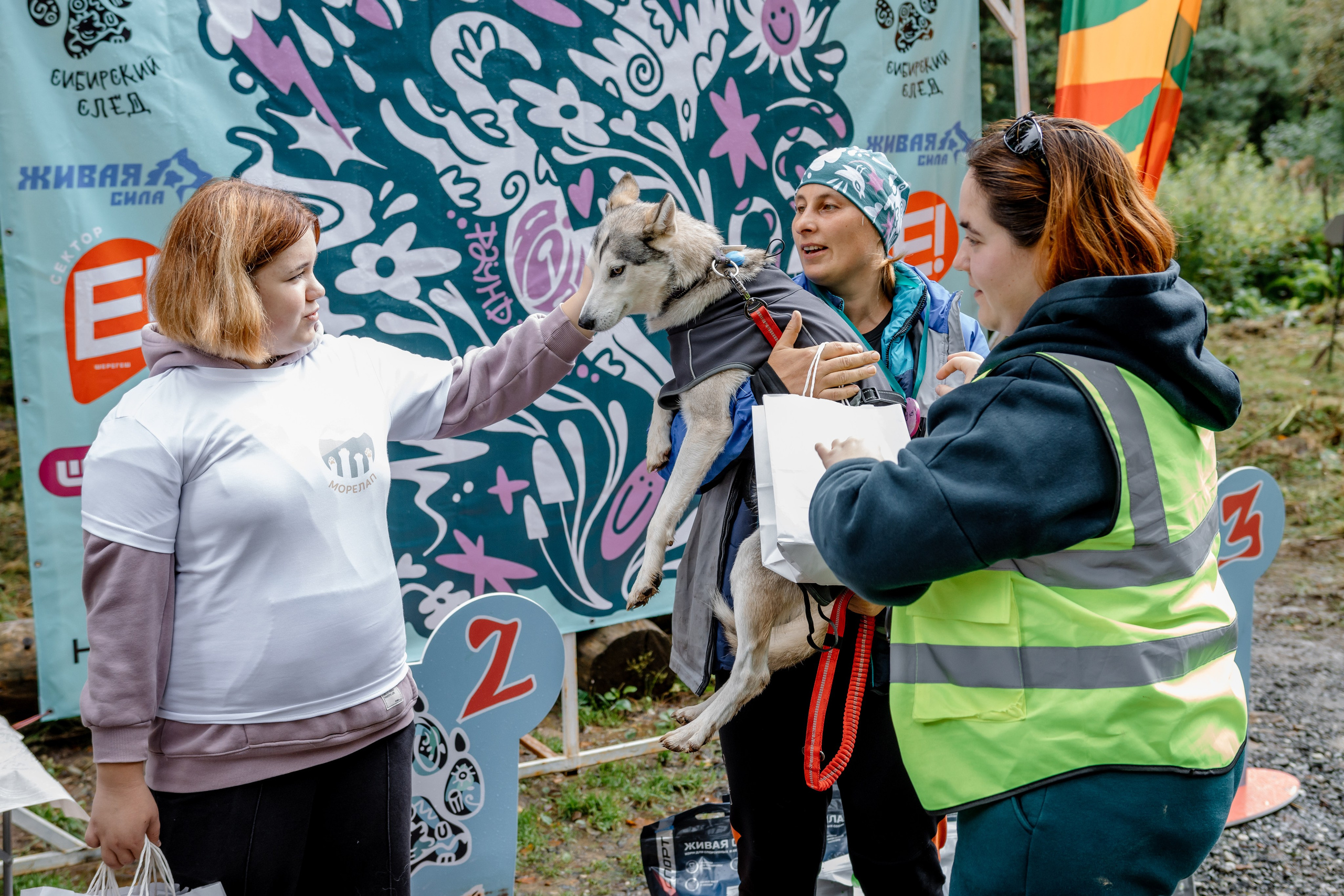 Дог-треккинг