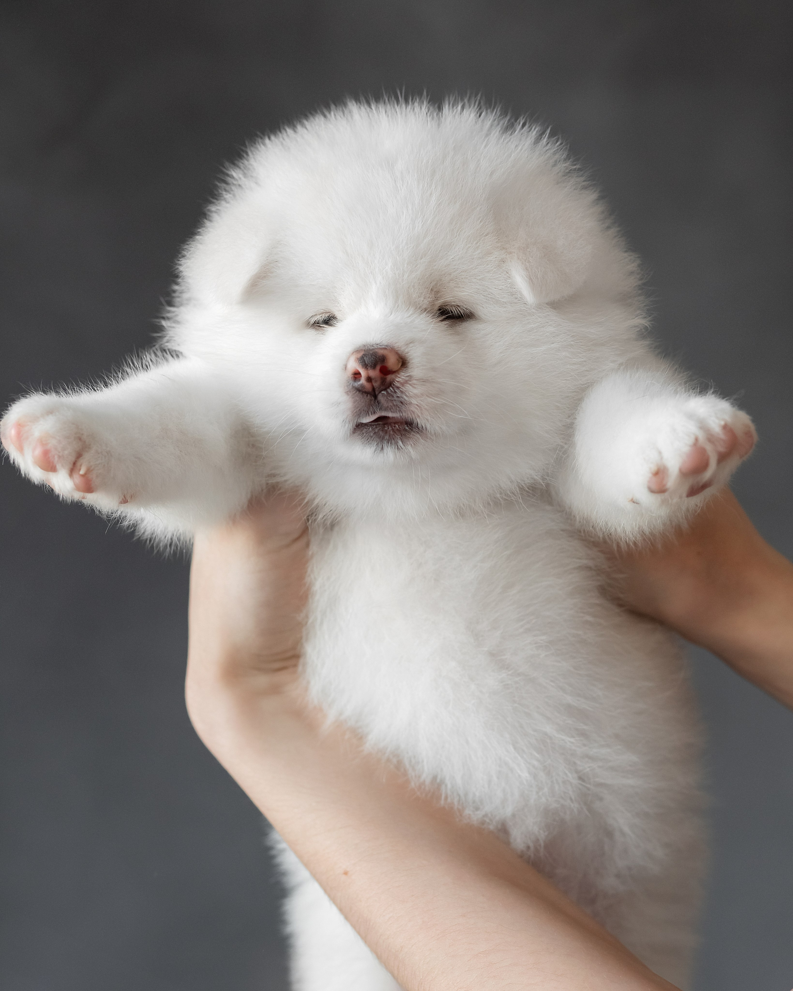 Предыдущие пометы. Алена Попова — фотограф в Хабаровске