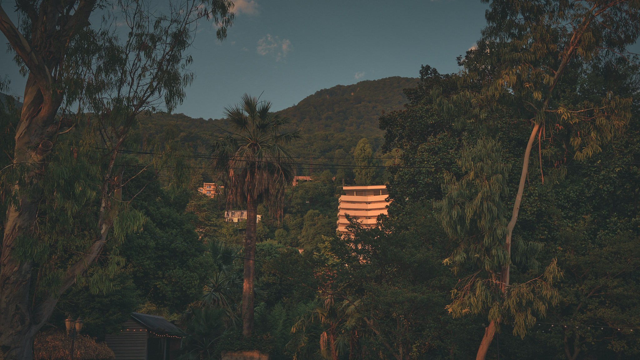 Фотограф Владимир Кононенко