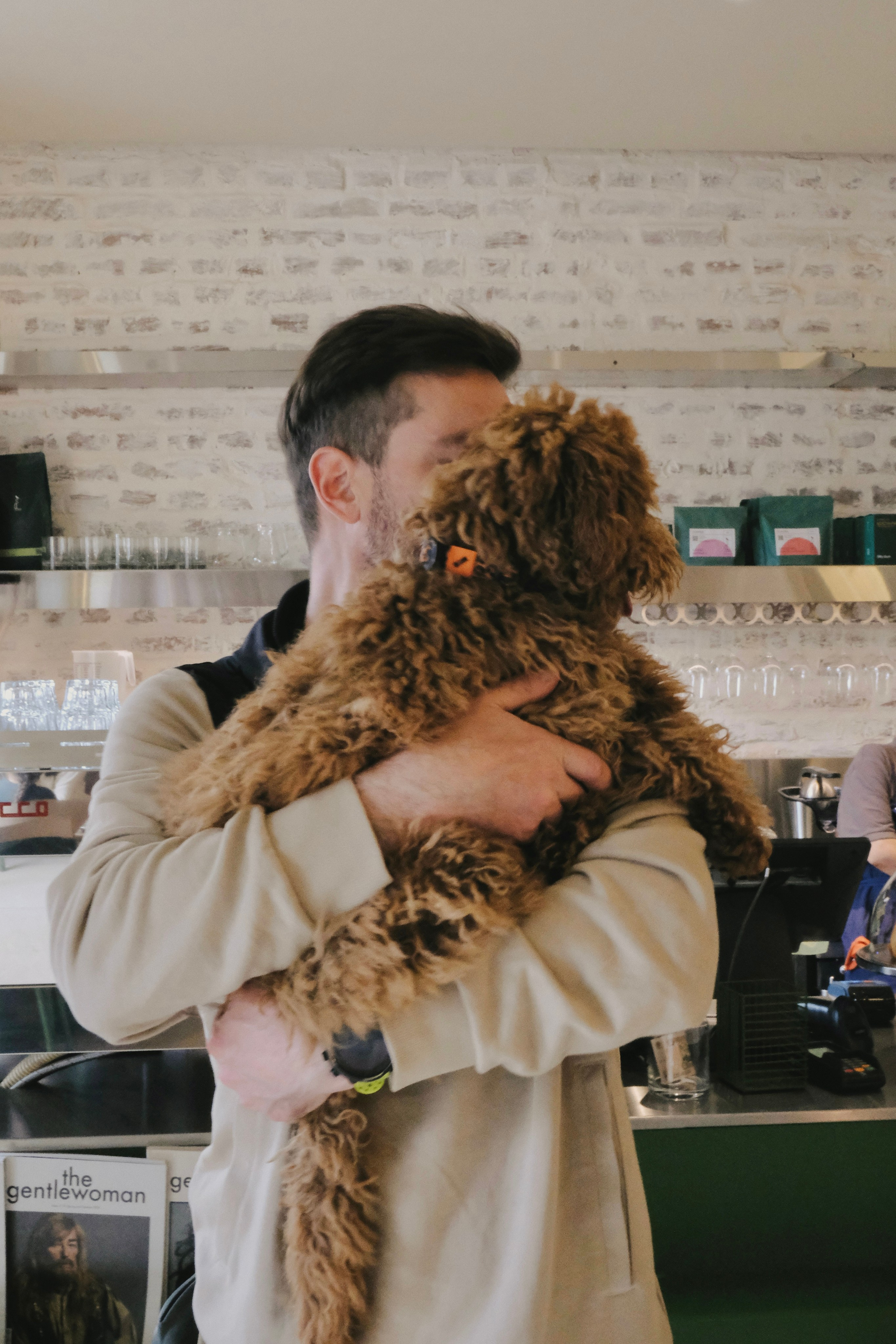 Питомцы. Татьян гертье