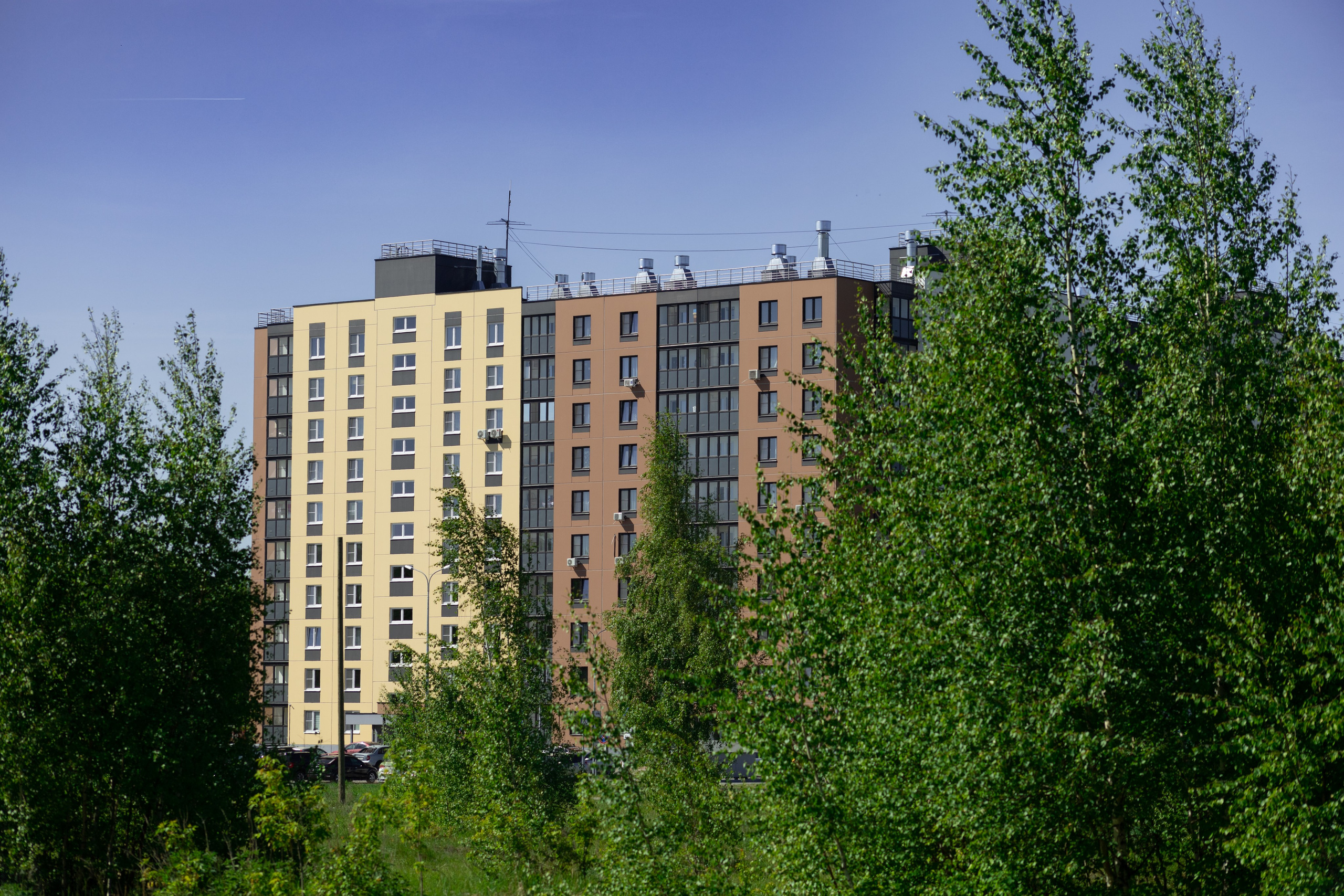 Торпедо. Фотограф Мурманск | Нижний Новгород • Анна Хижняк