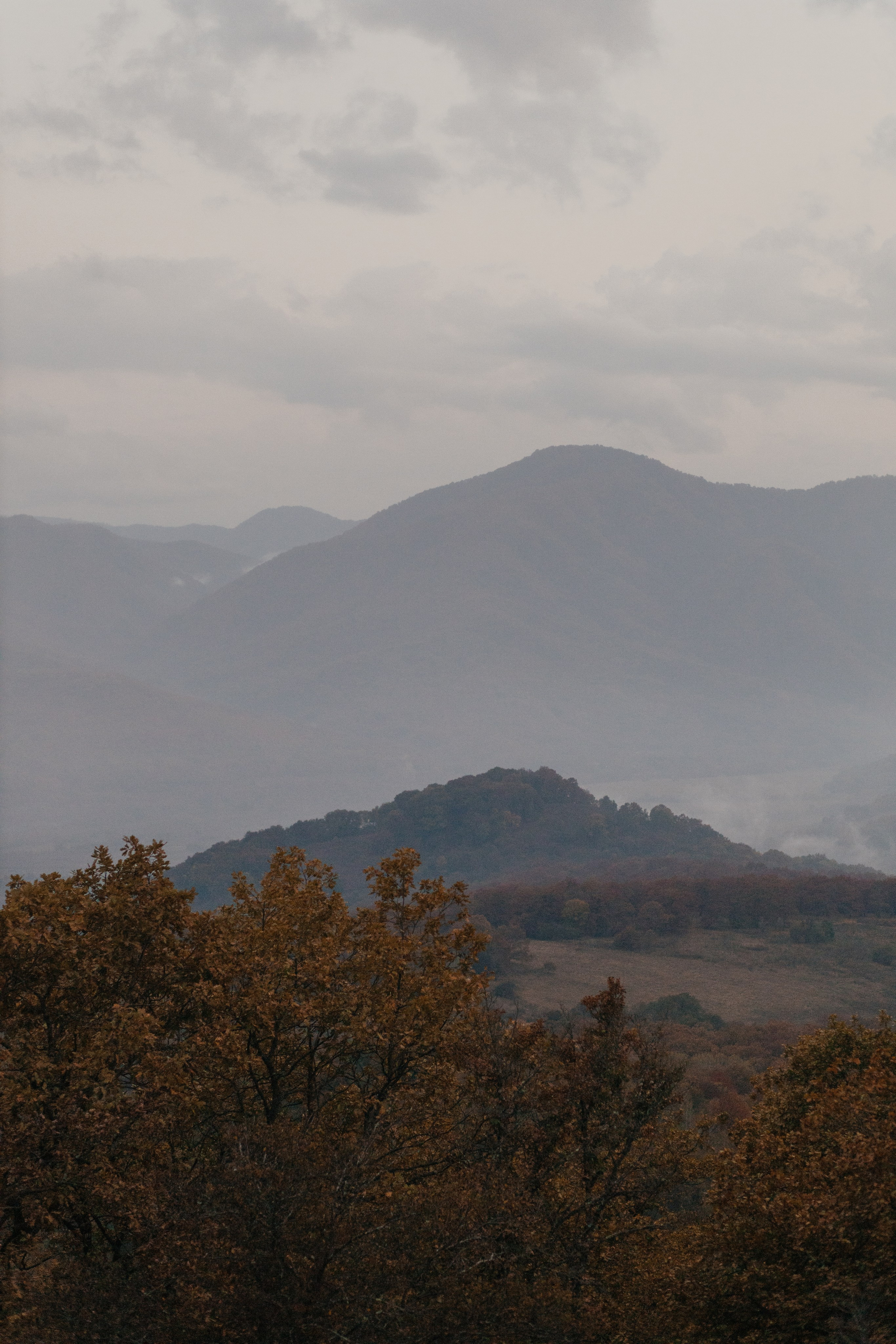 Кристина и Андрей|Wedding love story. Свадебный фотограф в Ростове-на-Дону и Азове Малявка Анастасия