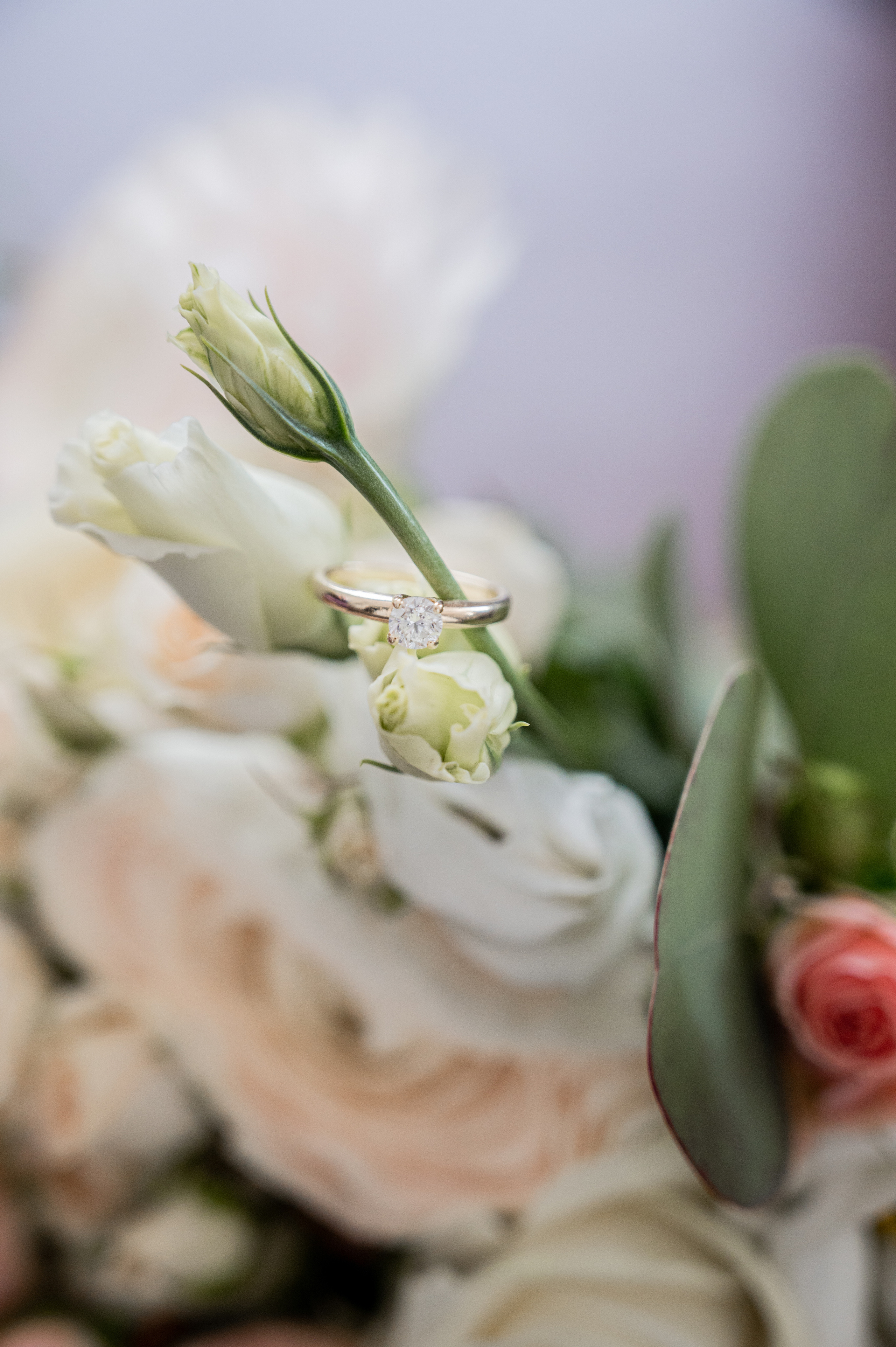 Александр & Алёна. Портретный и свадебный фотограф в Москве Анастасия Терентьева