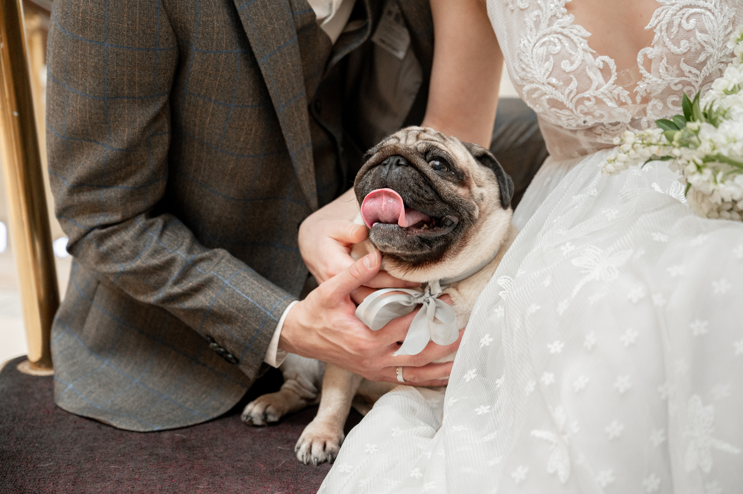 Дима & Нина. Портретный и свадебный фотограф в Москве Анастасия Терентьева