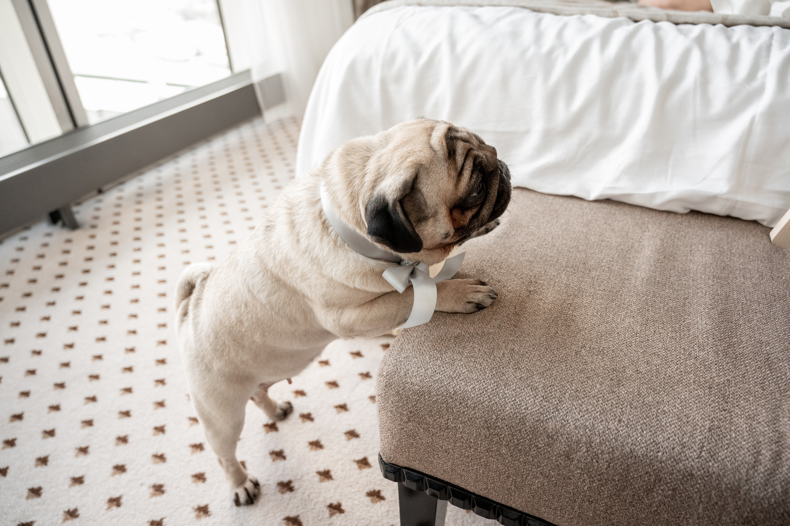 Дима & Нина. Портретный и свадебный фотограф в Москве Анастасия Терентьева