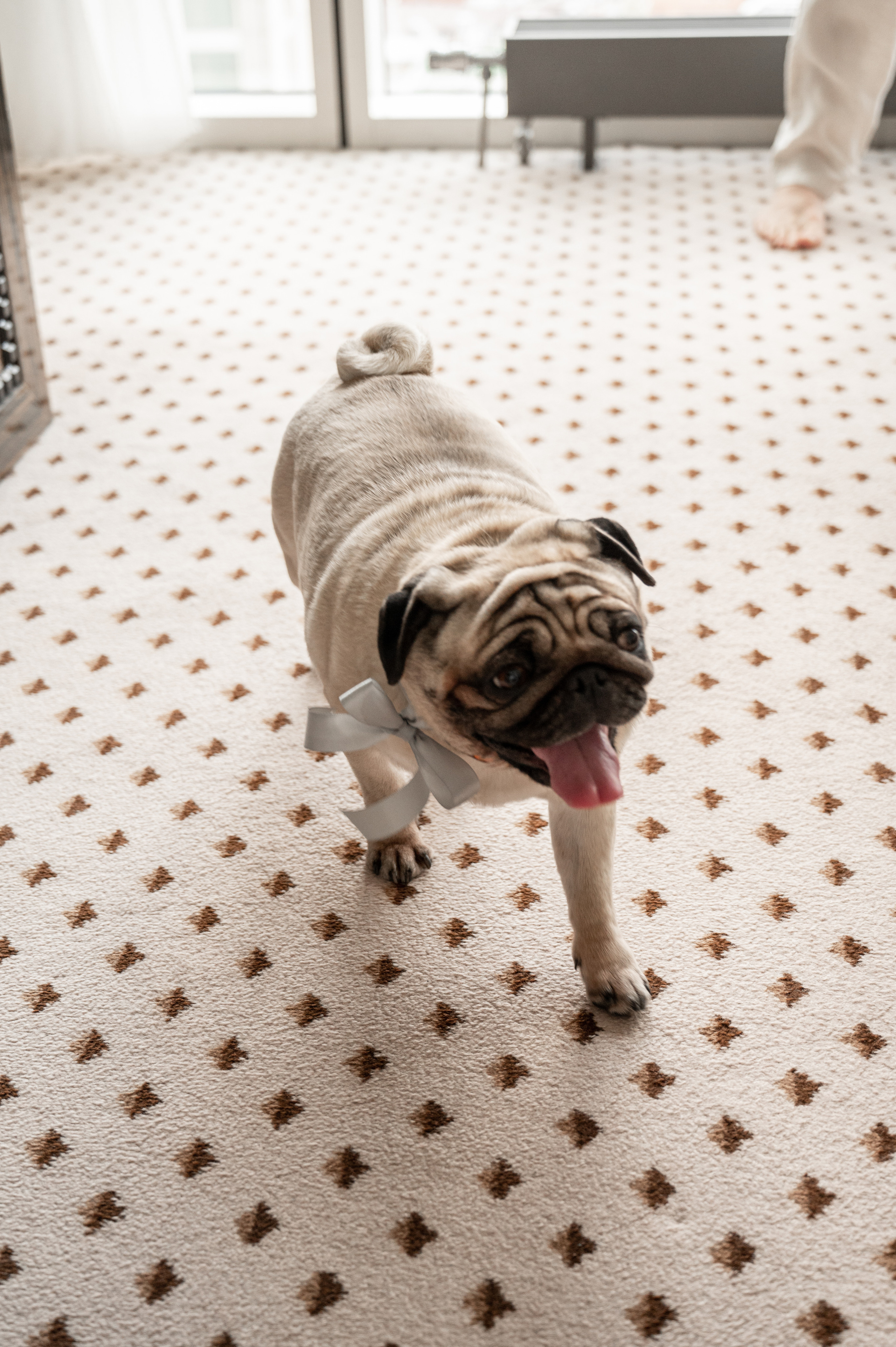 Дима & Нина. Портретный и свадебный фотограф в Москве Анастасия Терентьева