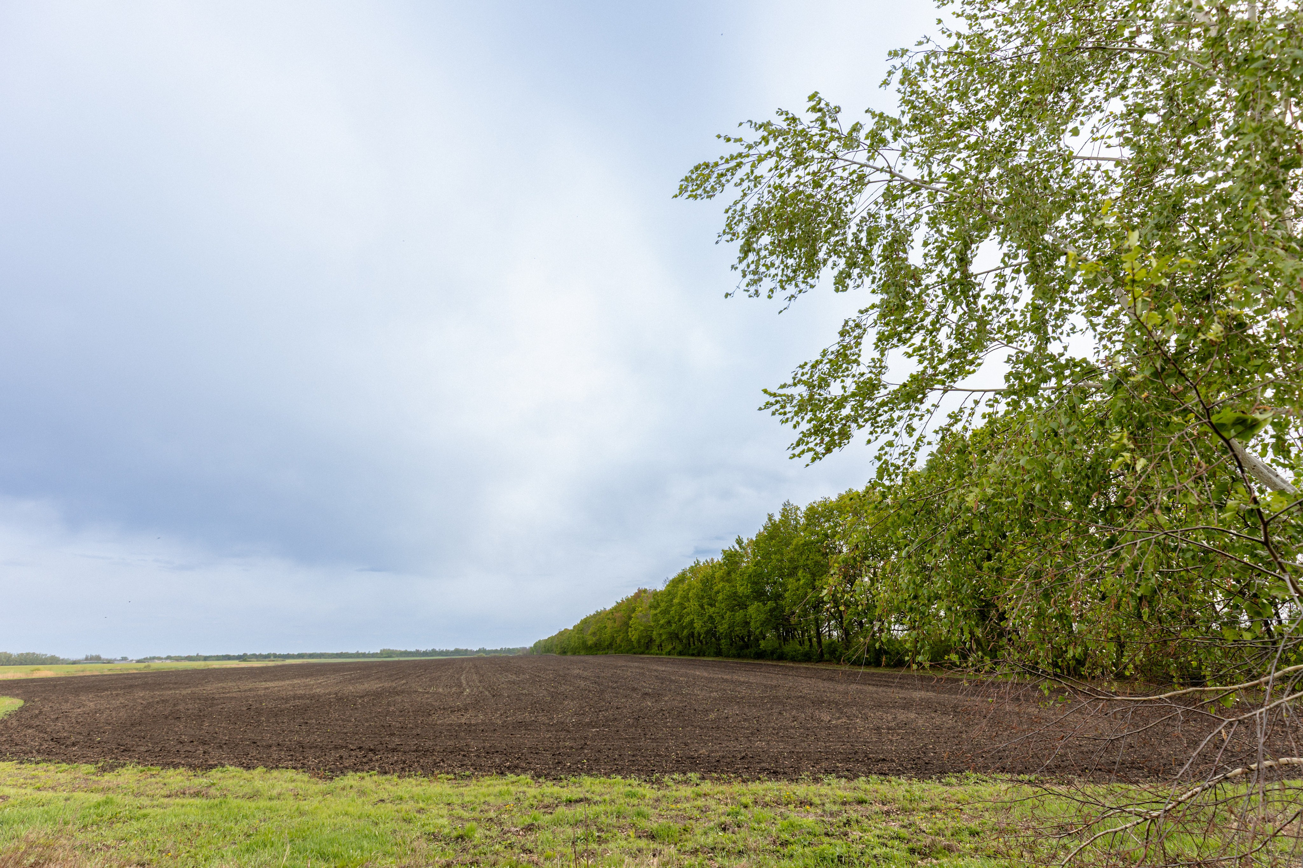 Приусадебный участок. Владислав Волков | Фотография и видеосъемка в Воронеже