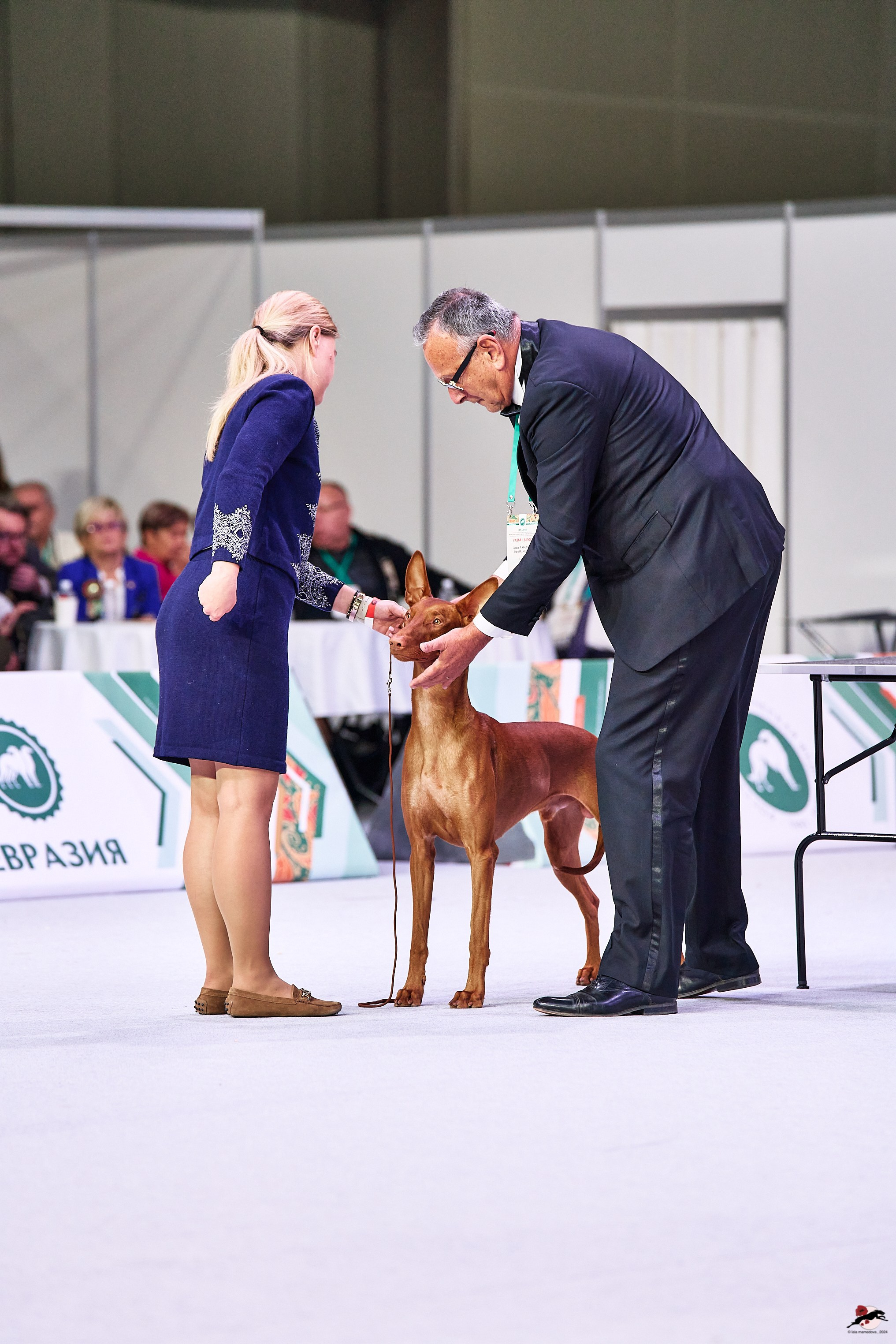 16.11.2024 «ЕВРАЗИЯ. КУБОК ПРЕЗИДЕНТА РКФ 2024»