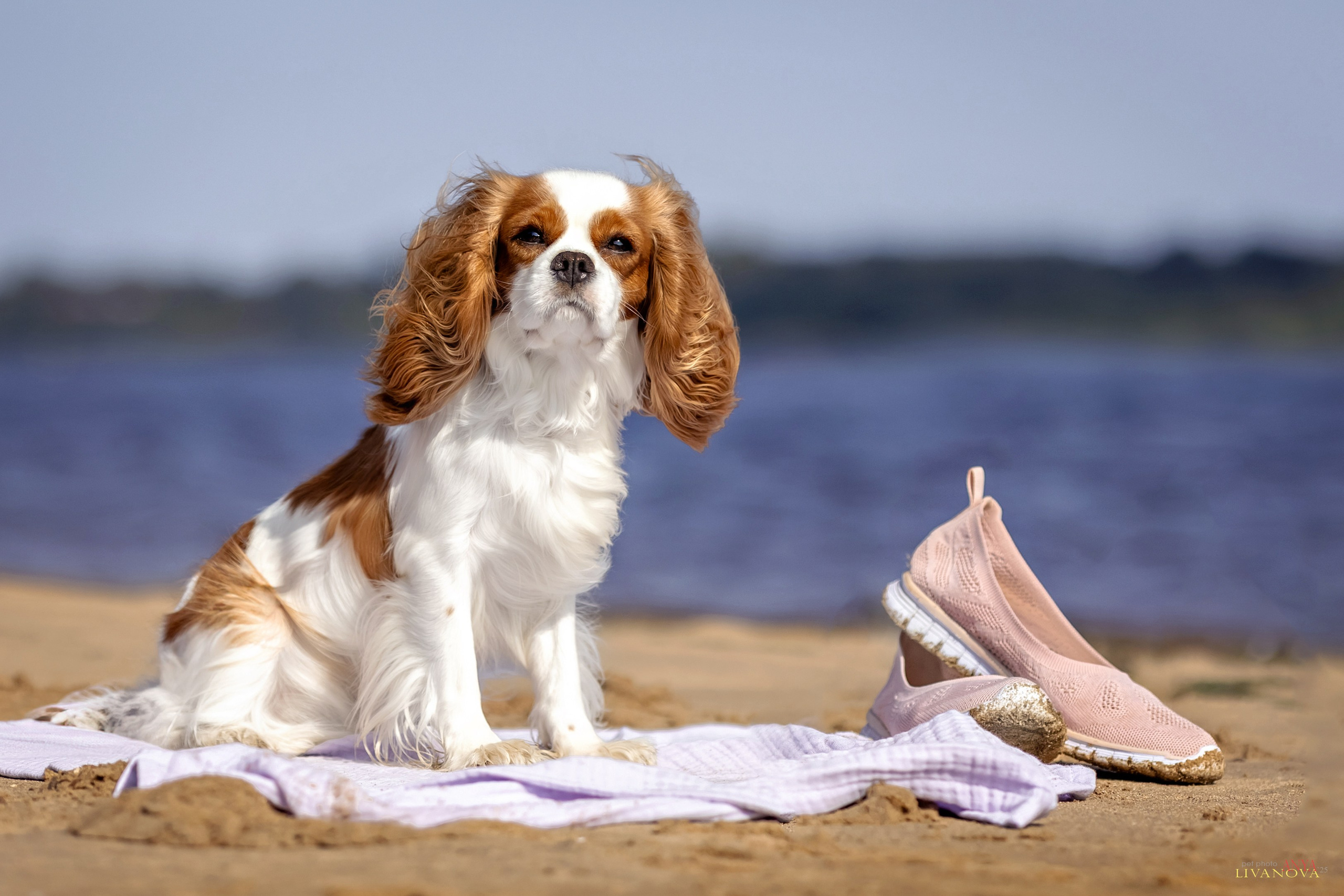 Аня и Миля. Фотограф анималист Аня Ливанова | Рыбинск