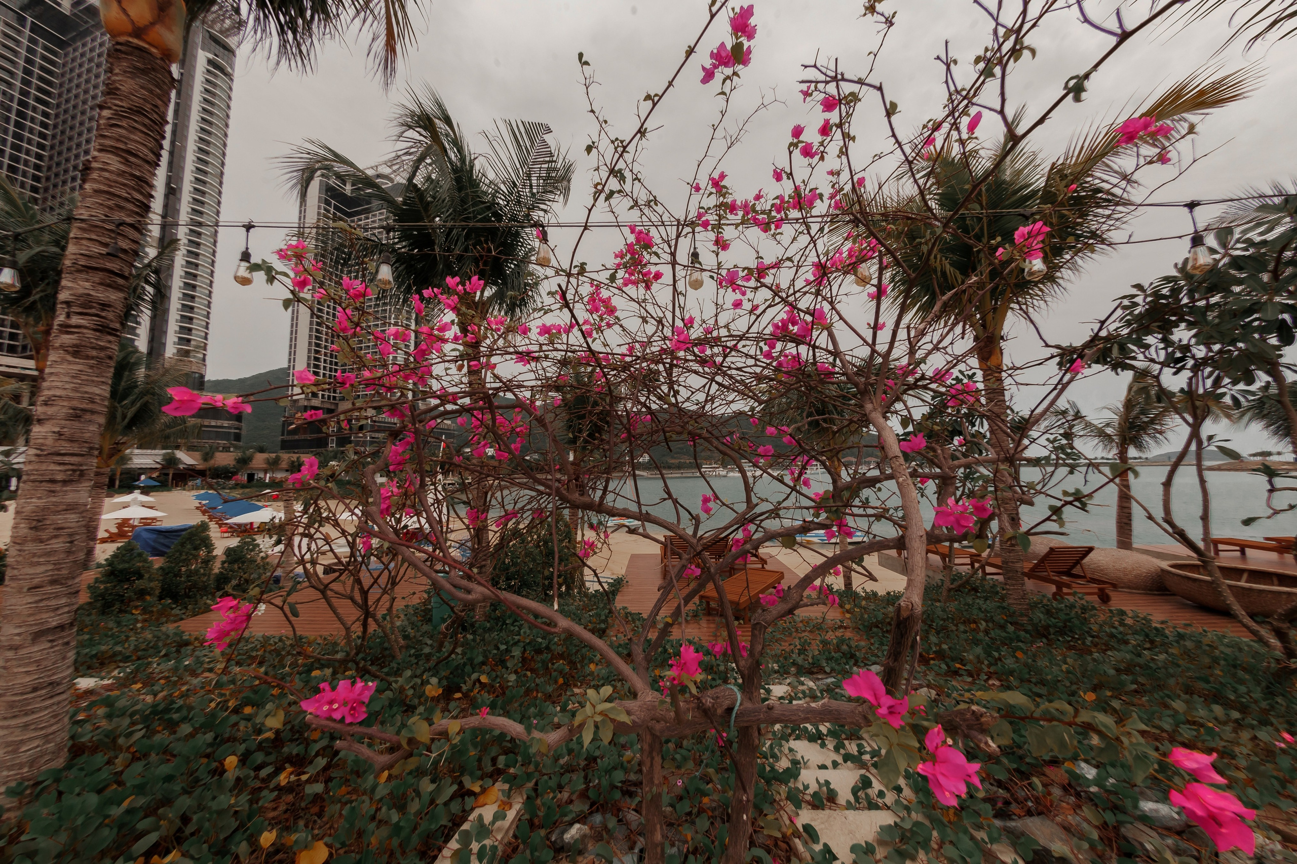 ВЬЕТНАМ 2023 / VIEtTNAM 2024. Главная