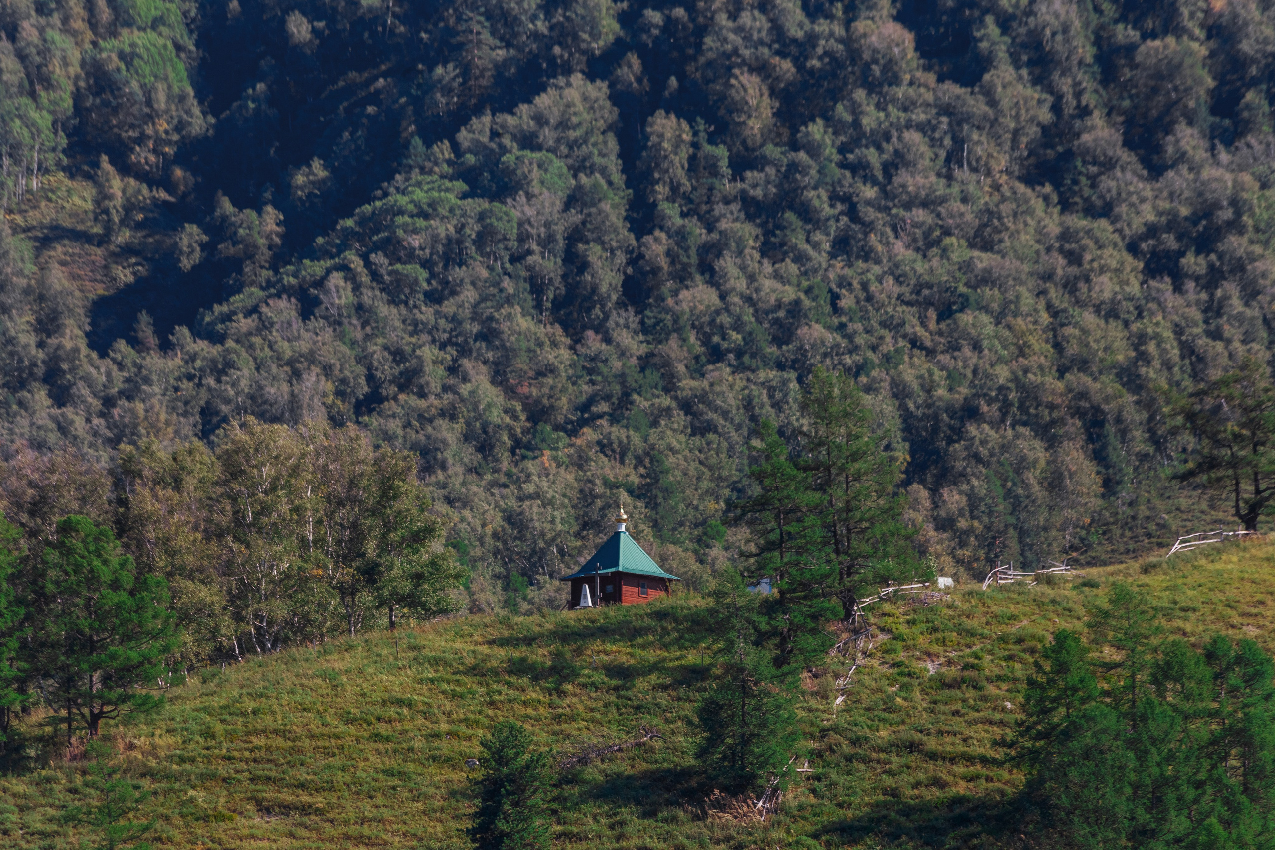 АЛТАЙ 2024 / ALTAI 2024. Главная