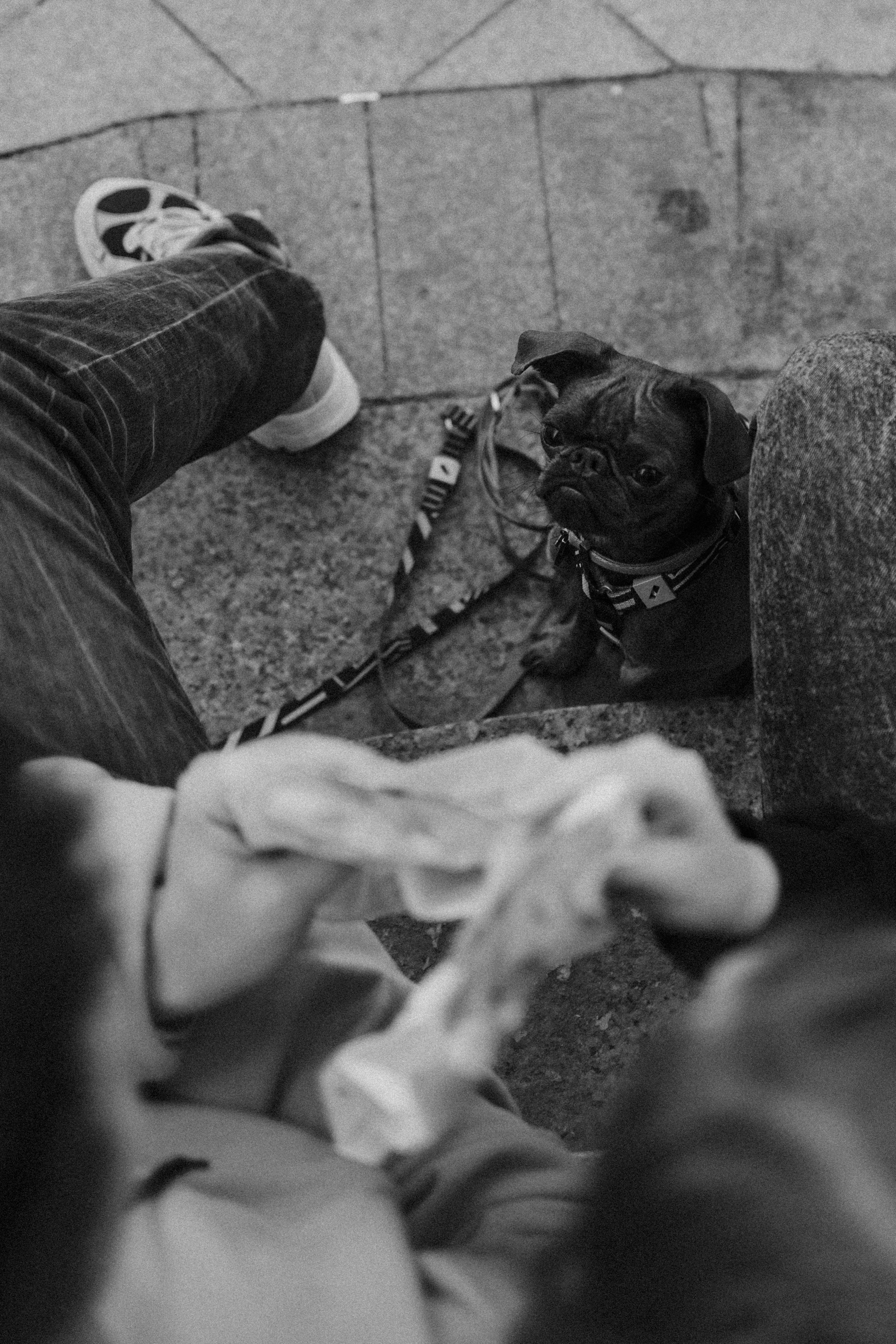 Грогу и его семья. Фотораф — анималист Мария Шистка