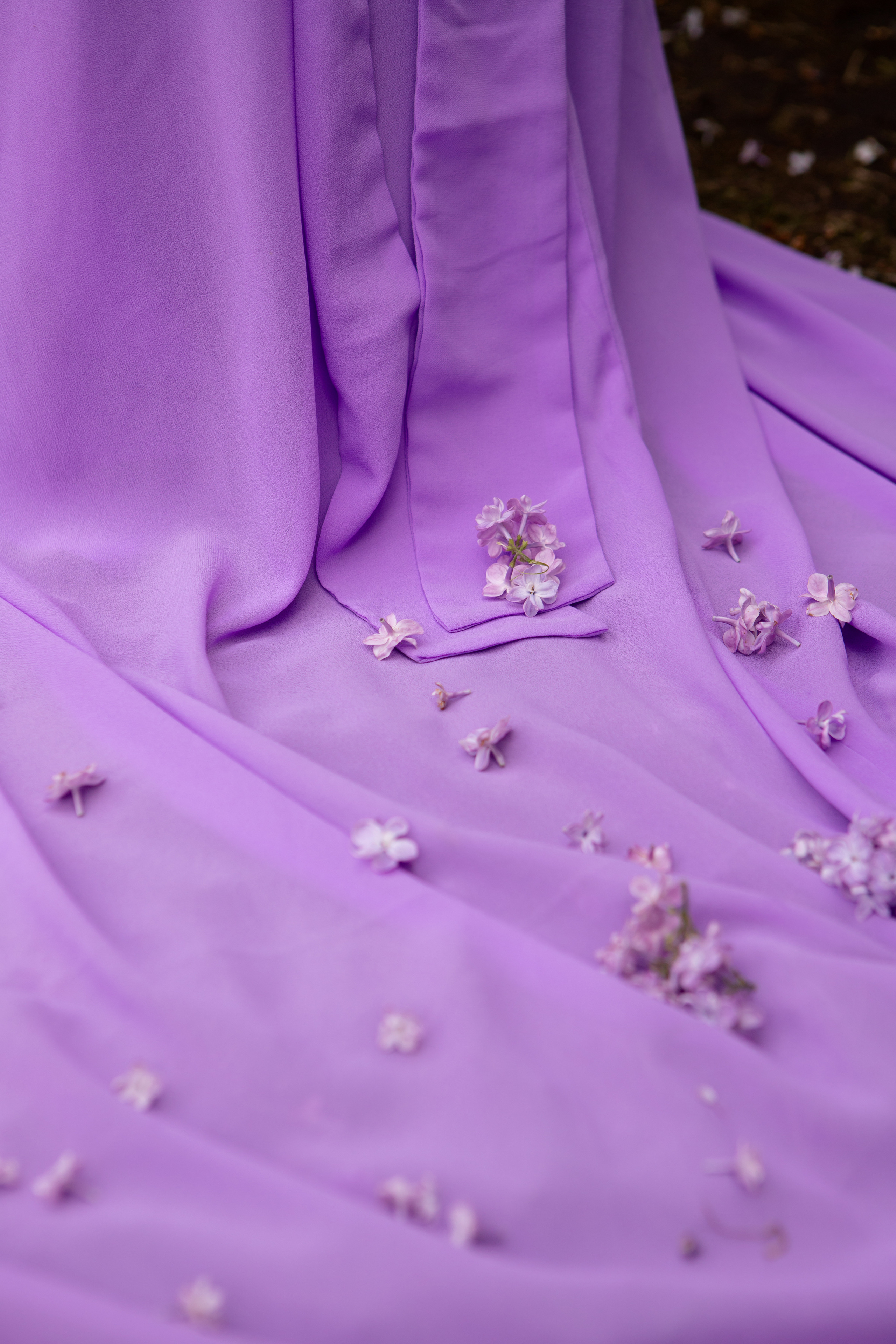 Екатерина в Сиреневом саду. Фотограф в Москве Серегина Екатерина