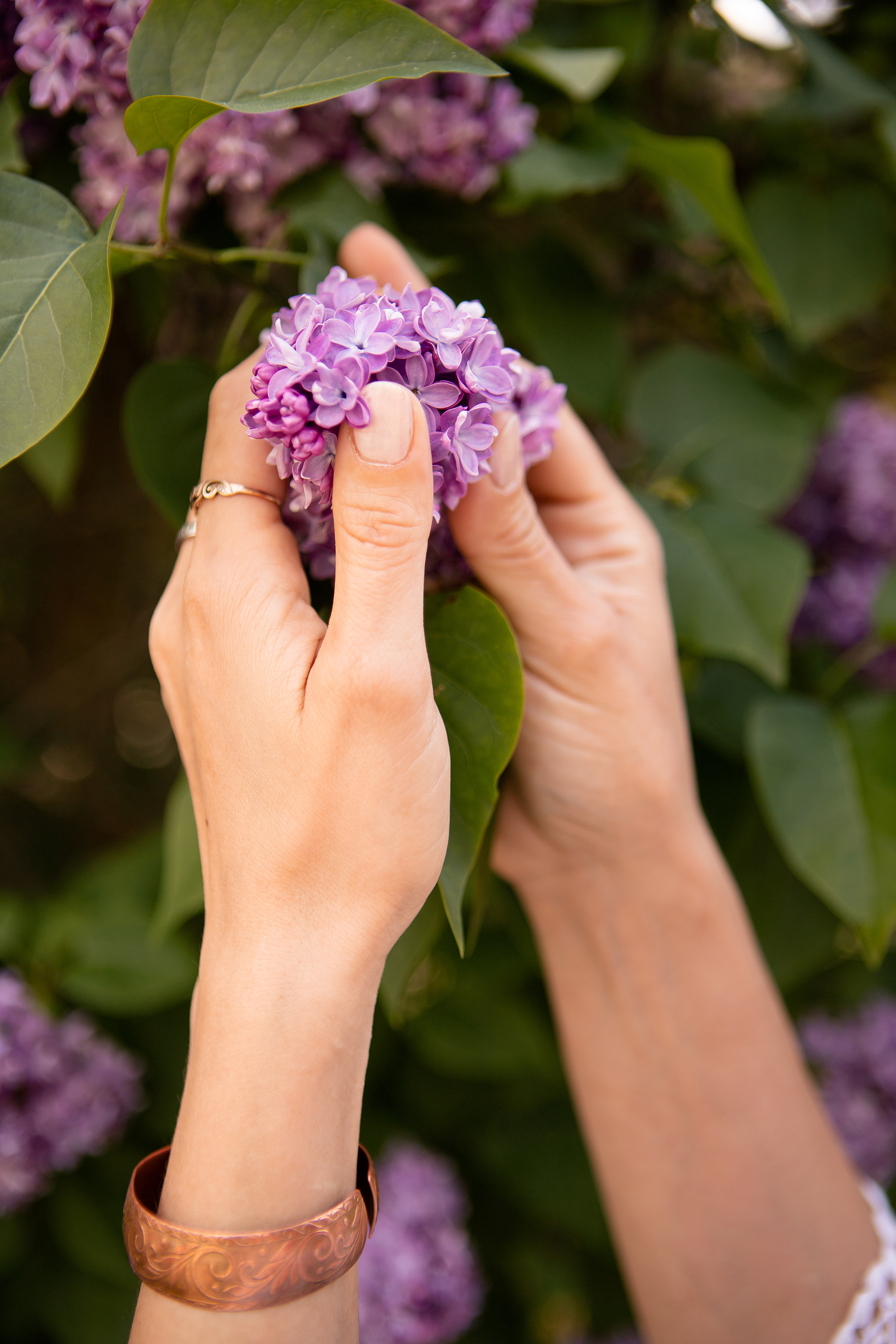 Прогулка Катерины в Сиреневом саду. Фотограф в Москве Серегина Екатерина
