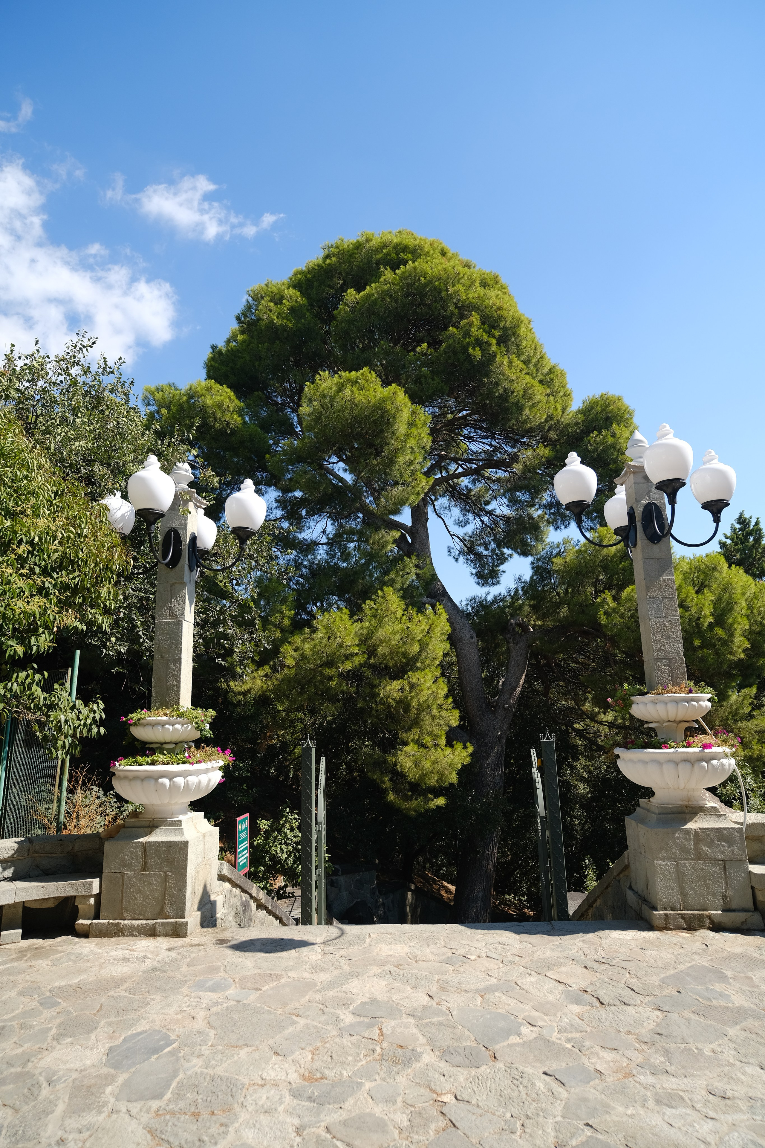 Топ локаций для фотосессии в Крыму - советы от фотографа. Профессиональная фотосъемка в Крыму. Натуральные эмоции и живые кадры. Забронируйте дату прямо сейчас!