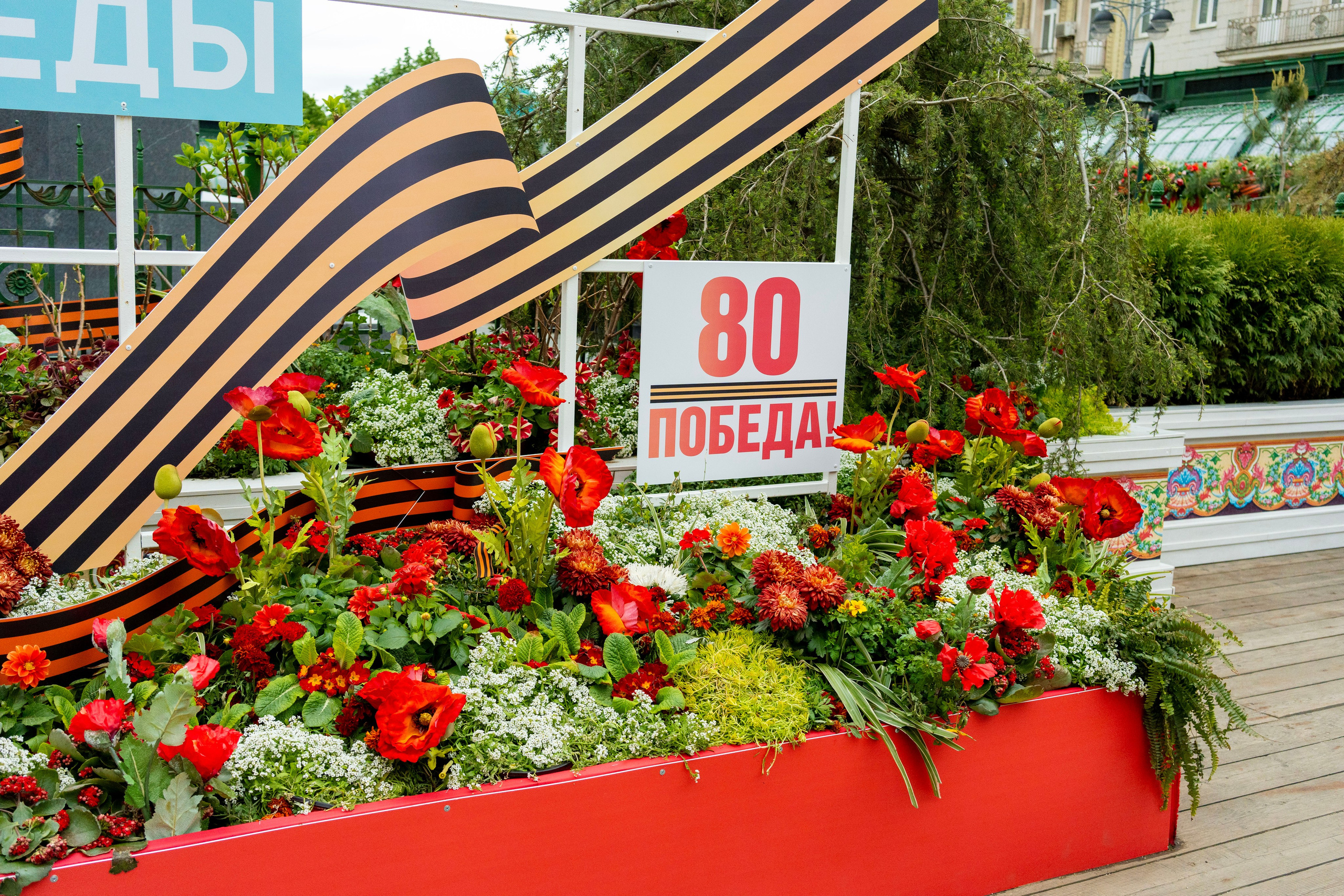 Добровидение 2025. Фотограф Юлия Попова