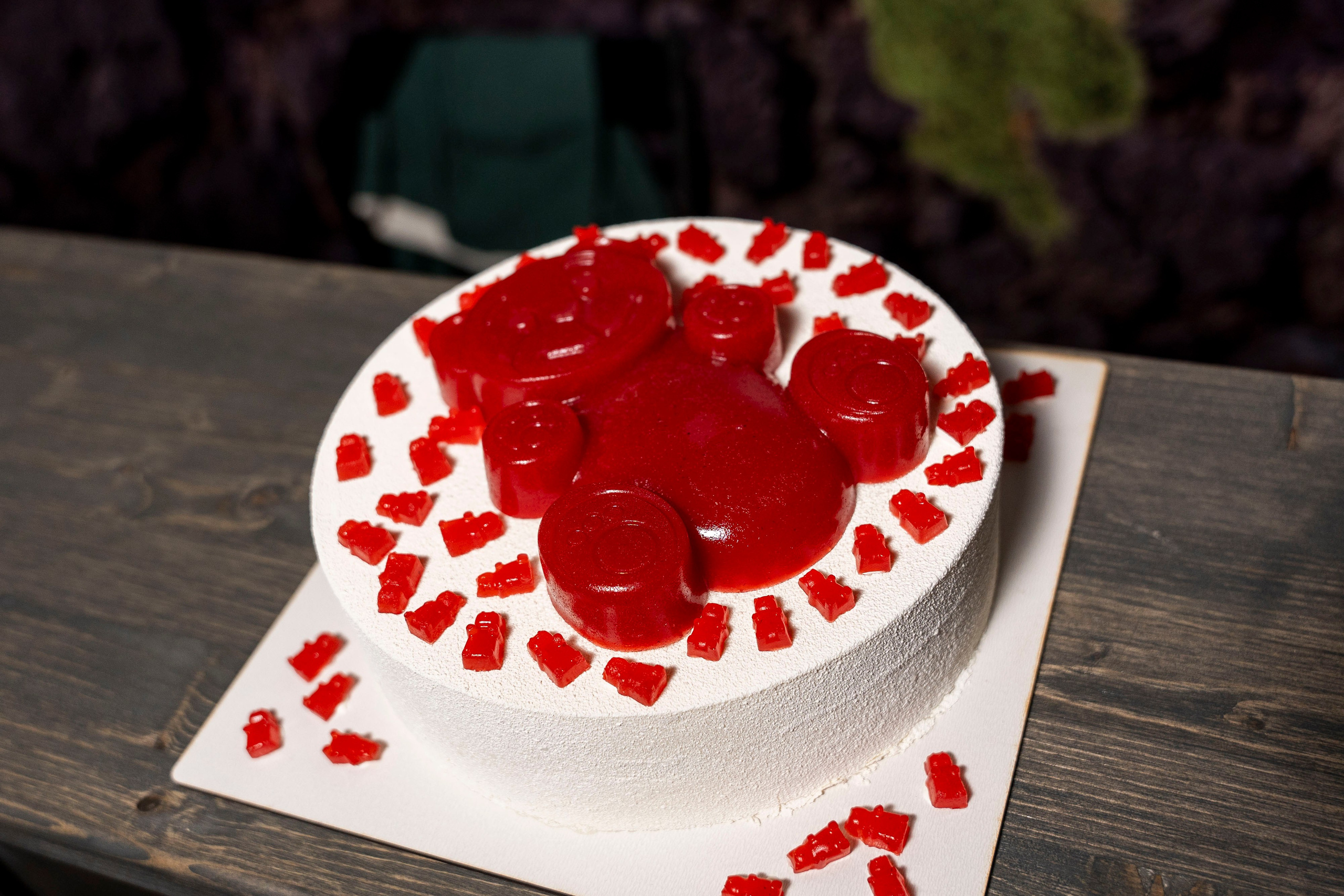 Квесты. Фотограф Юлия Попова