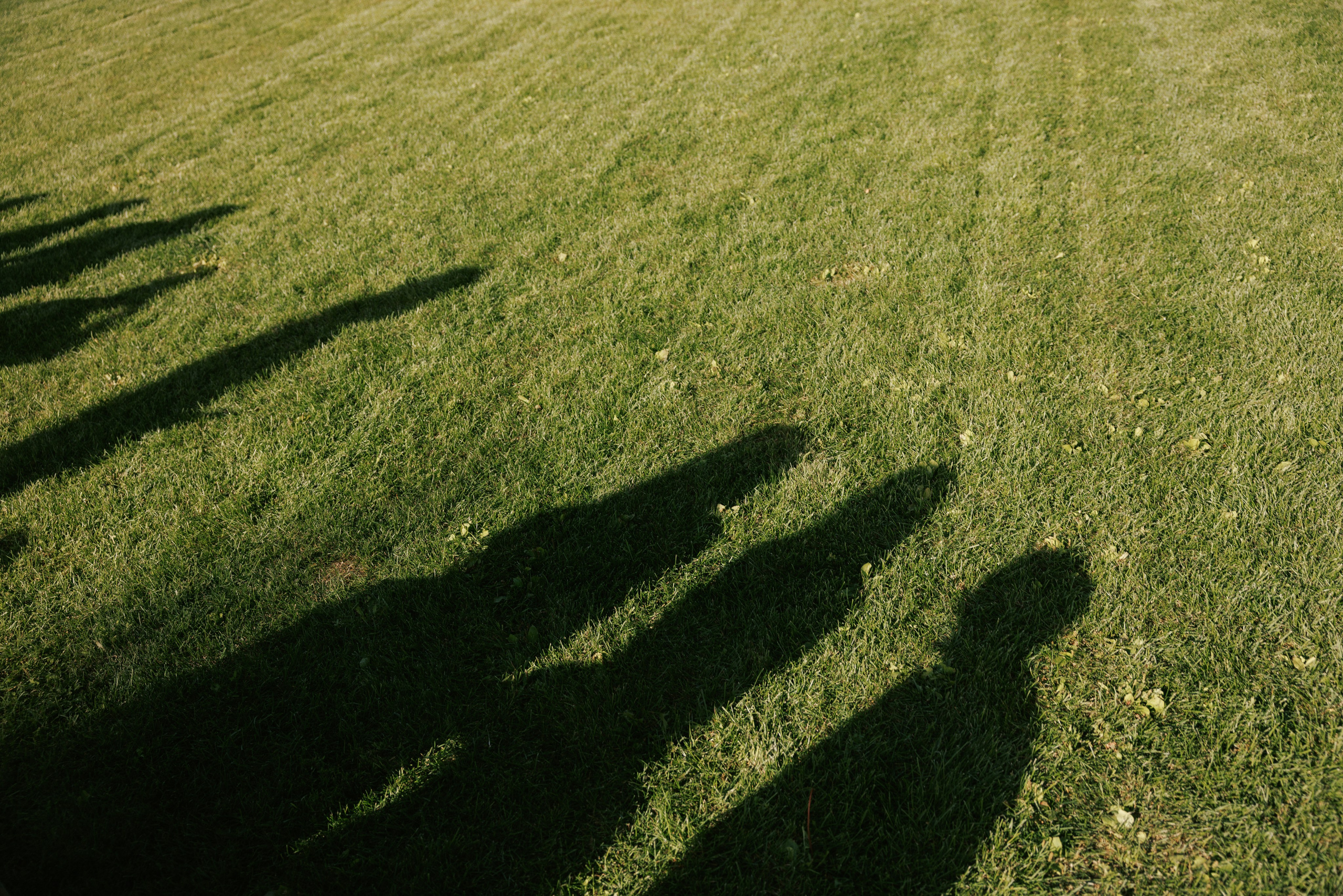 Марина & Лёша. Свадебный и семейный фотограф в Твери, Москве, Санкт-Петербурге