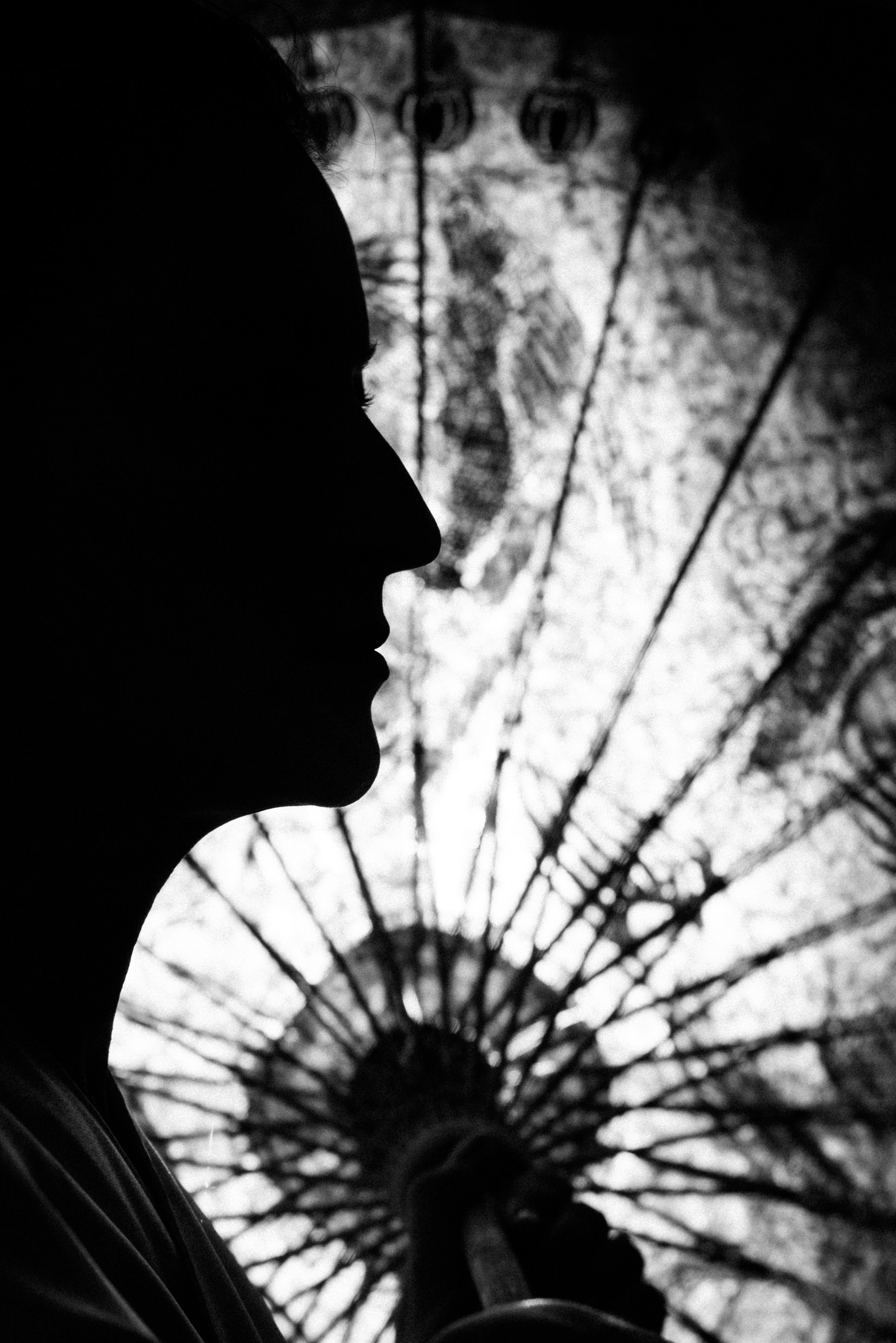 Фото МЕМУАРЫ ГЕЙШИ от Натальи. ФОТОПРОЕКТЫ